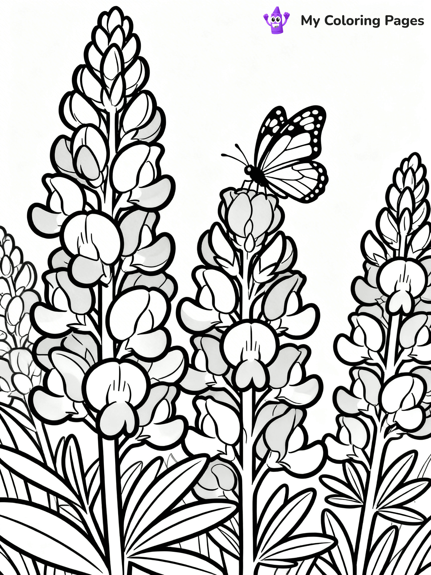 Texas Coloring Pages - 24