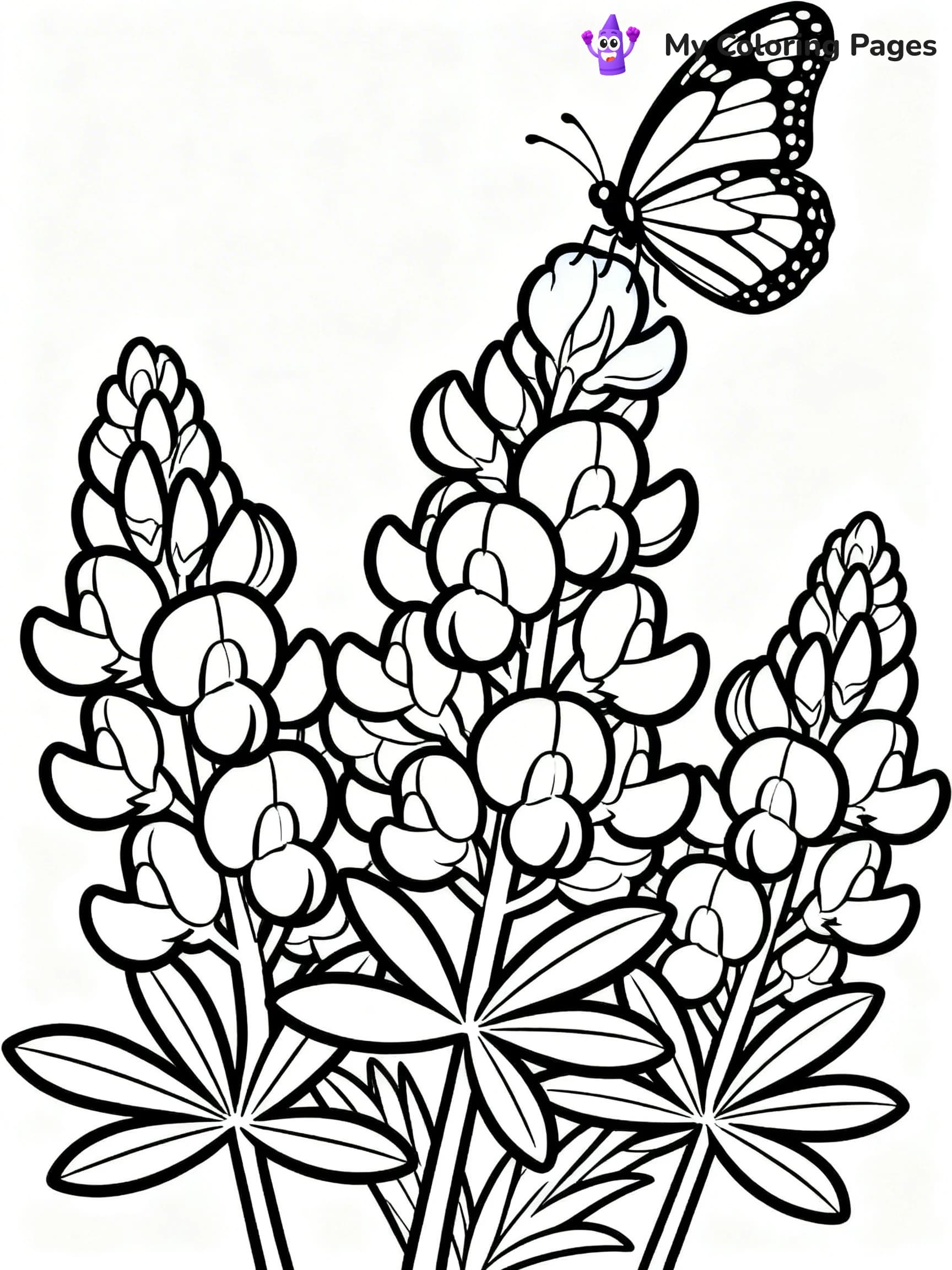 Texas Coloring Pages - 23