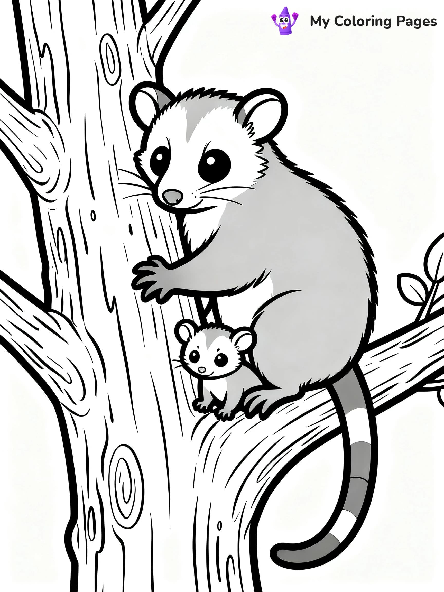 Possum Coloring Pages - 14
