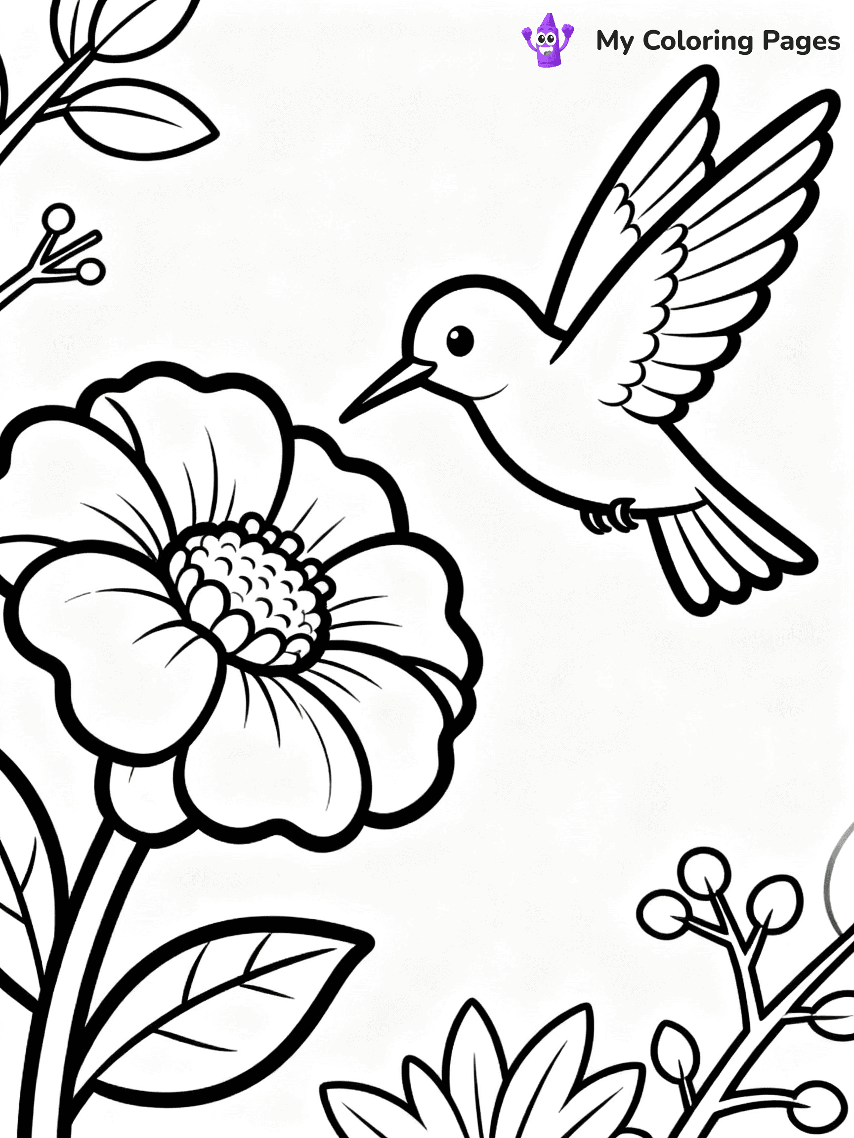 Hummingbird Coloring Pages - 20