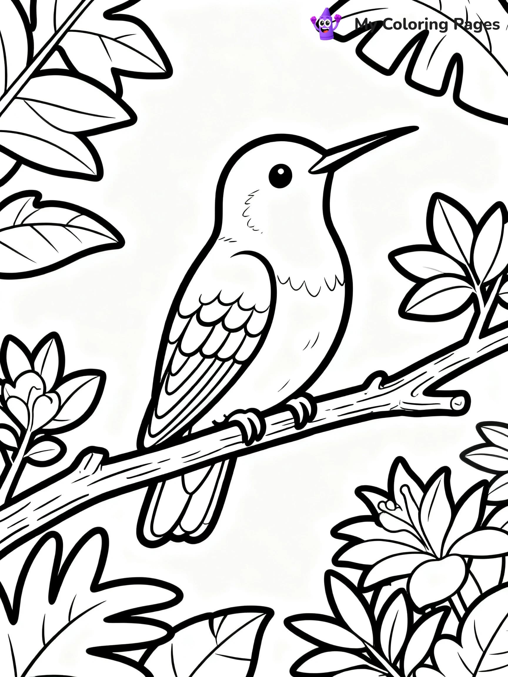 Hummingbird Coloring Pages - 13