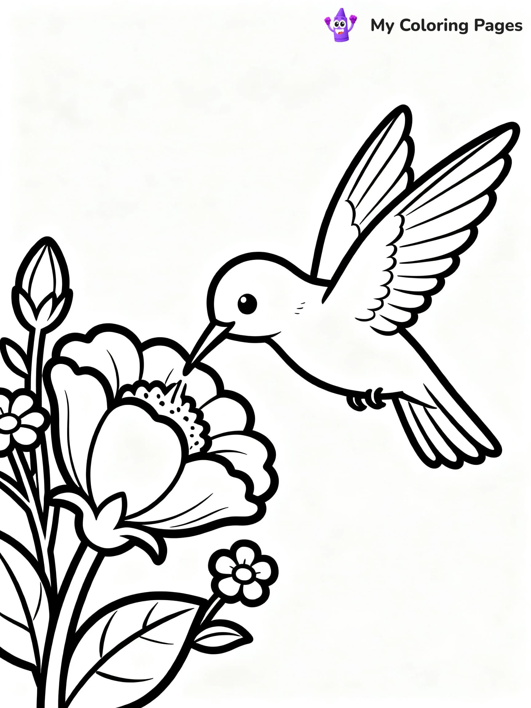 Hummingbird Coloring Pages - 12