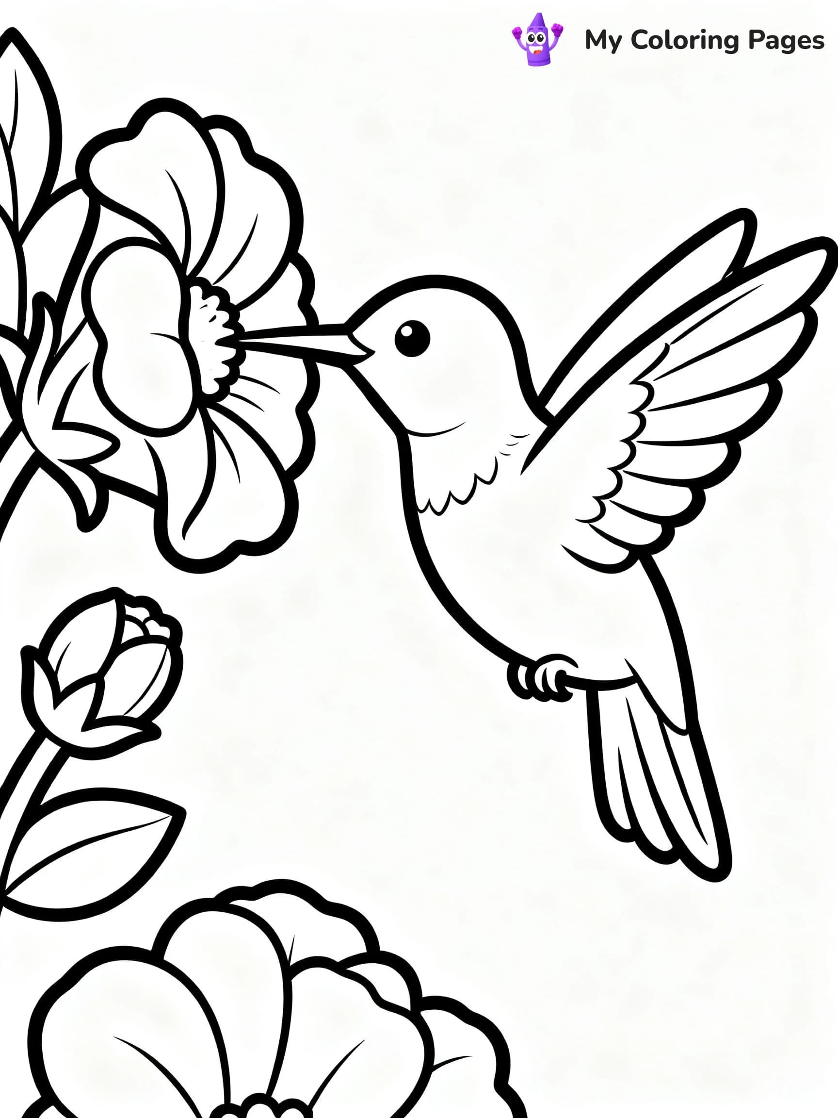 Hummingbird Coloring Pages - 7