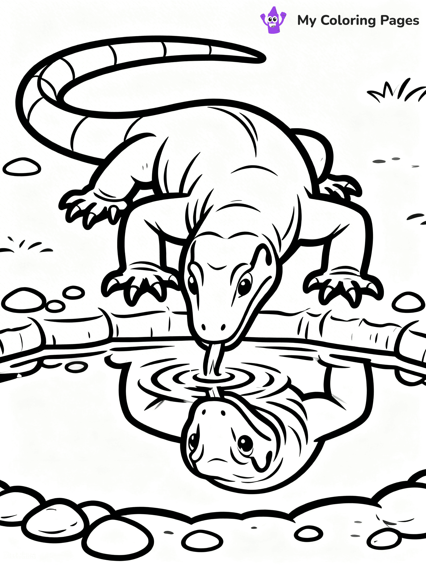 Komodo Dragon Coloring Pages - 82