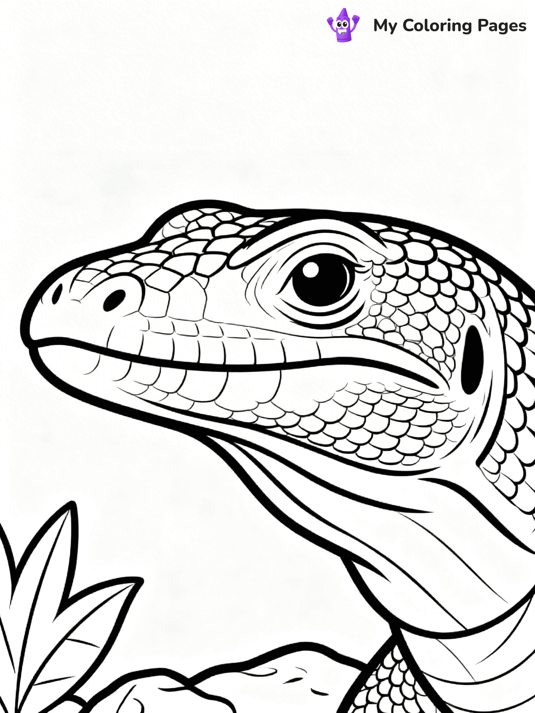 Komodo Dragon Coloring Pages - 22