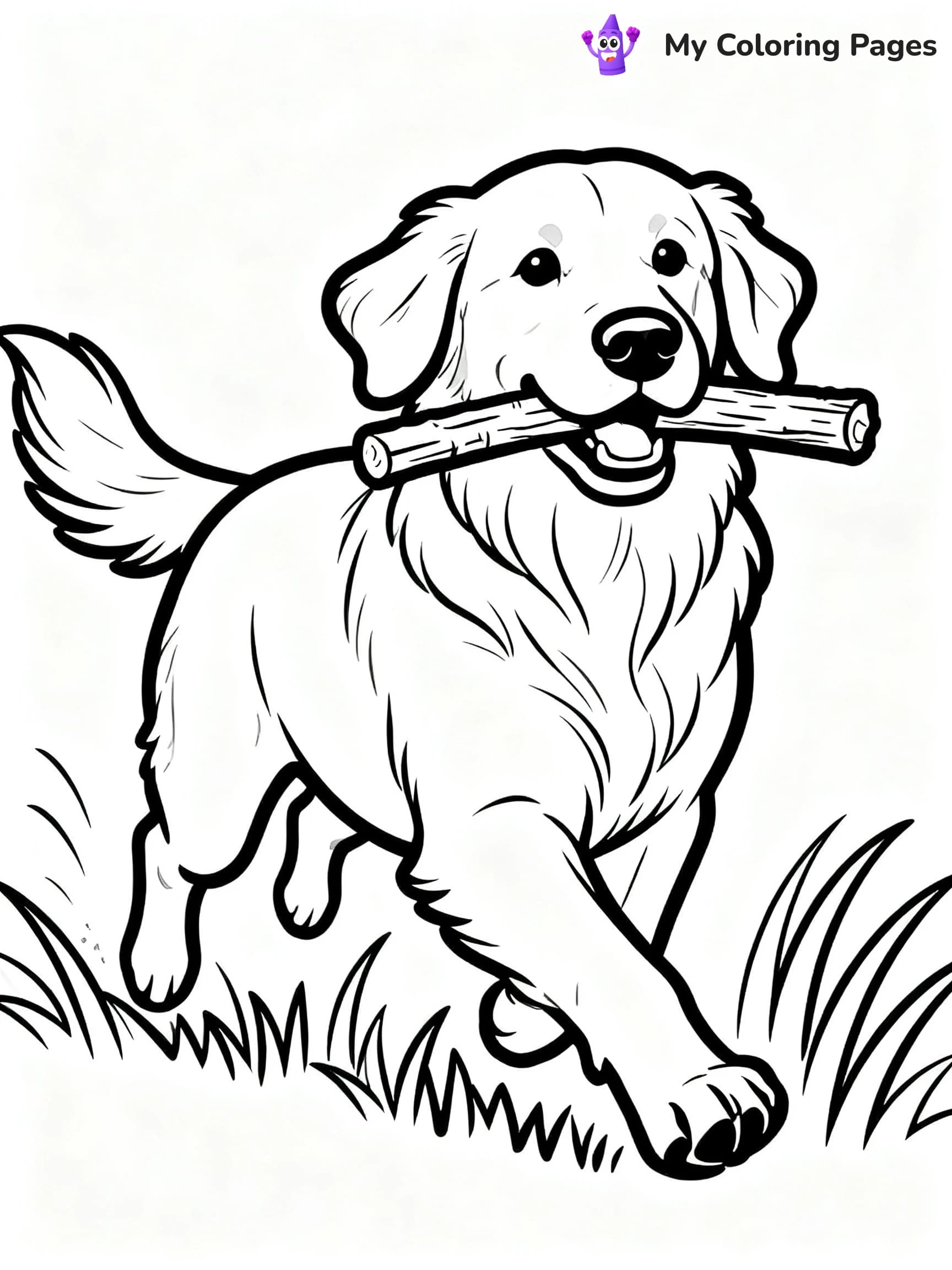 Realistic Golden Retriever Coloring Pages - 16