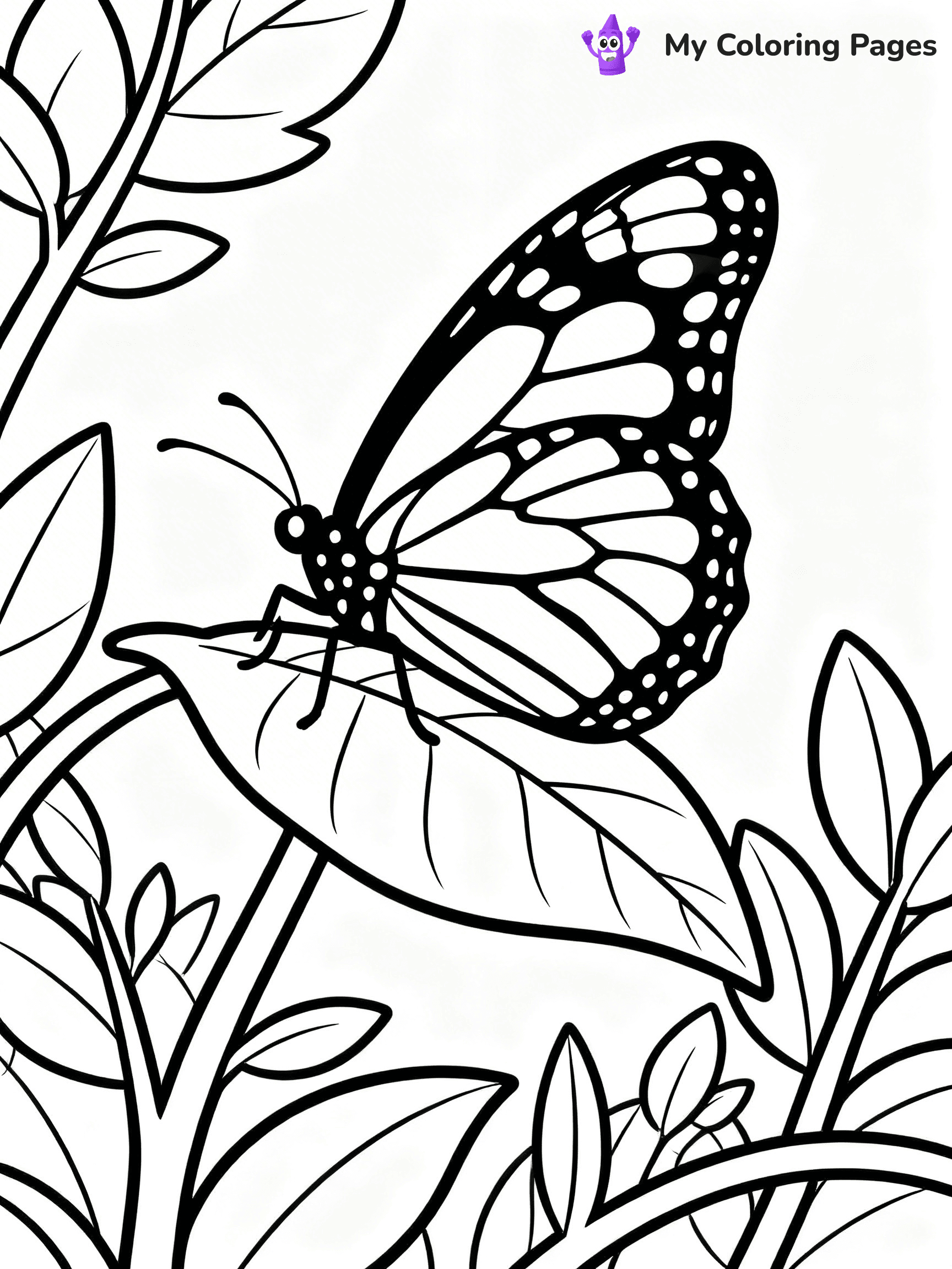 Monarch Butterfly Coloring Pages - 20