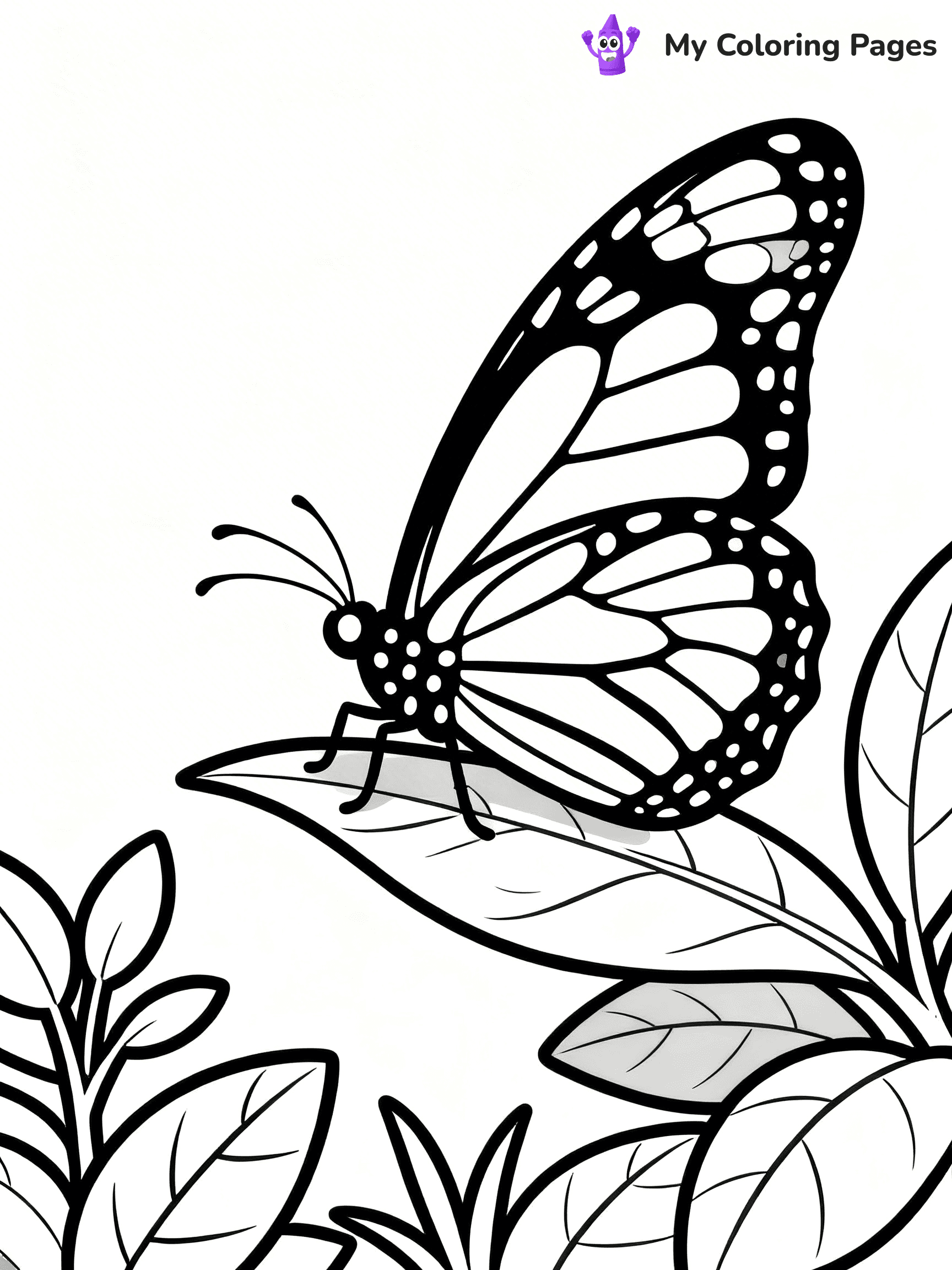 Monarch Butterfly Coloring Pages - 19