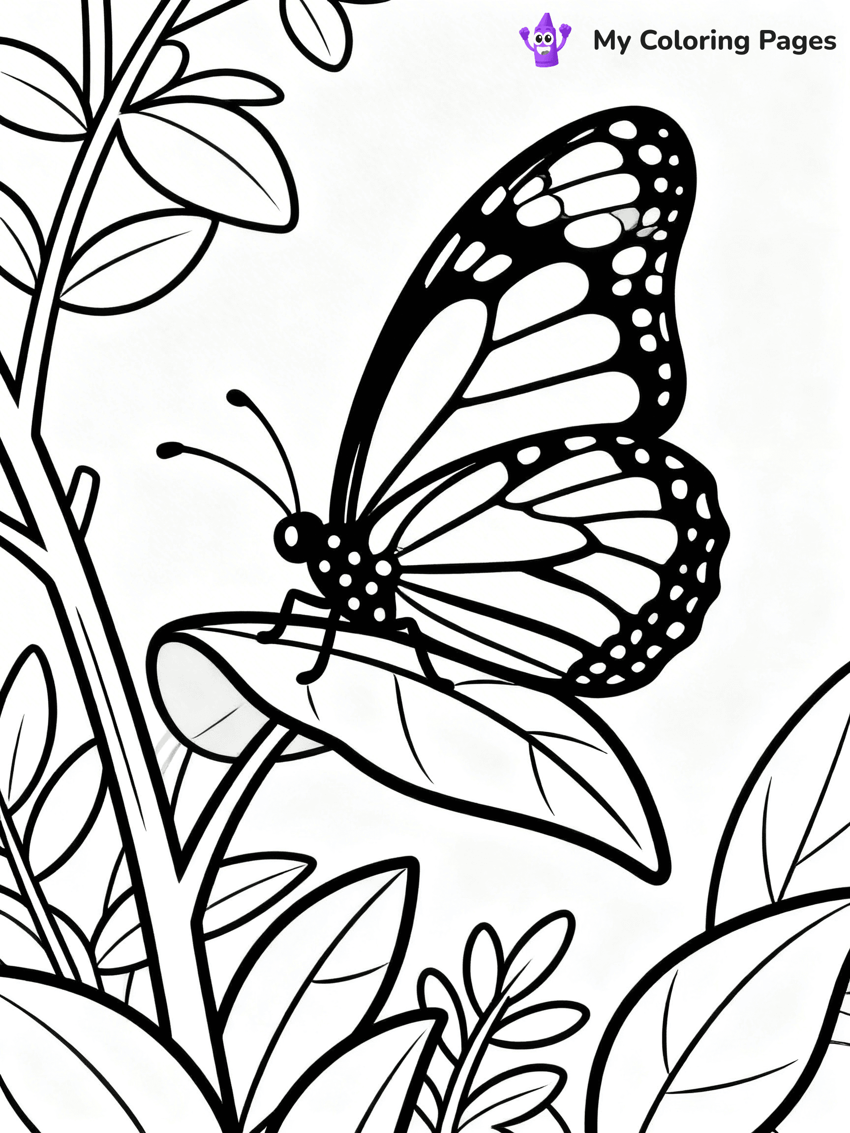 Monarch Butterfly Coloring Pages - 17