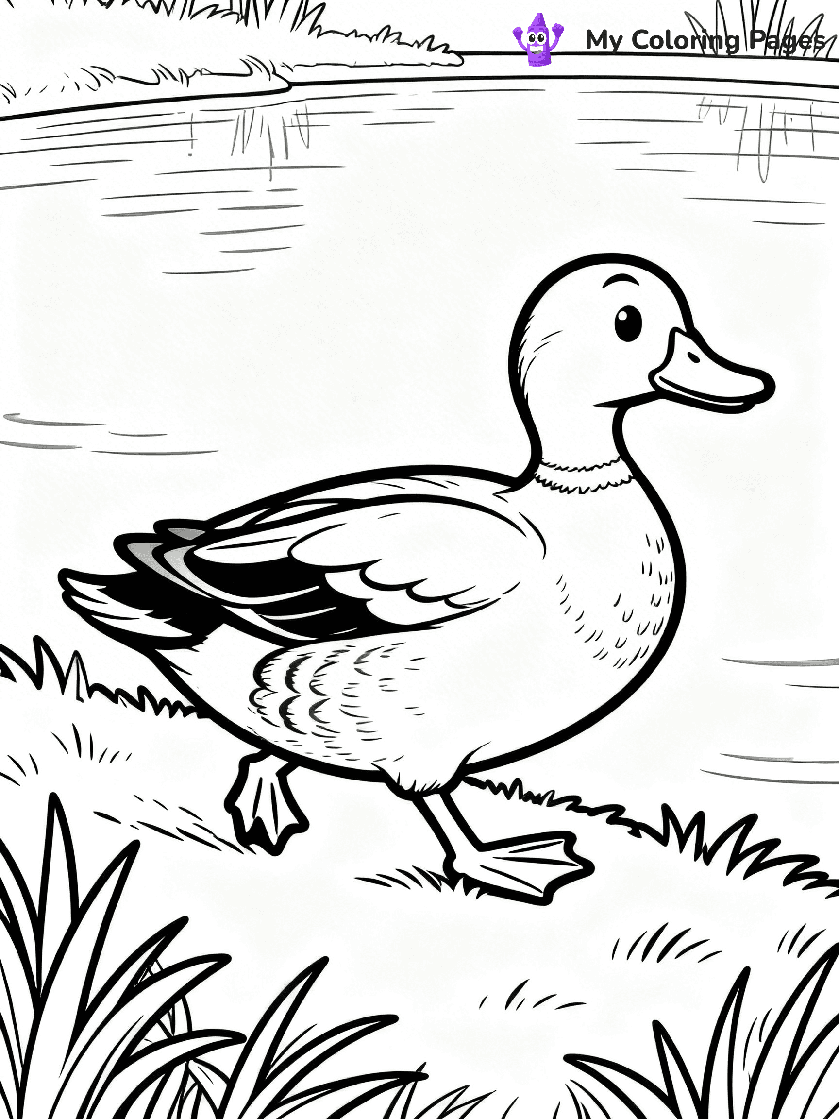 Mallard Duck Coloring Pages - 22