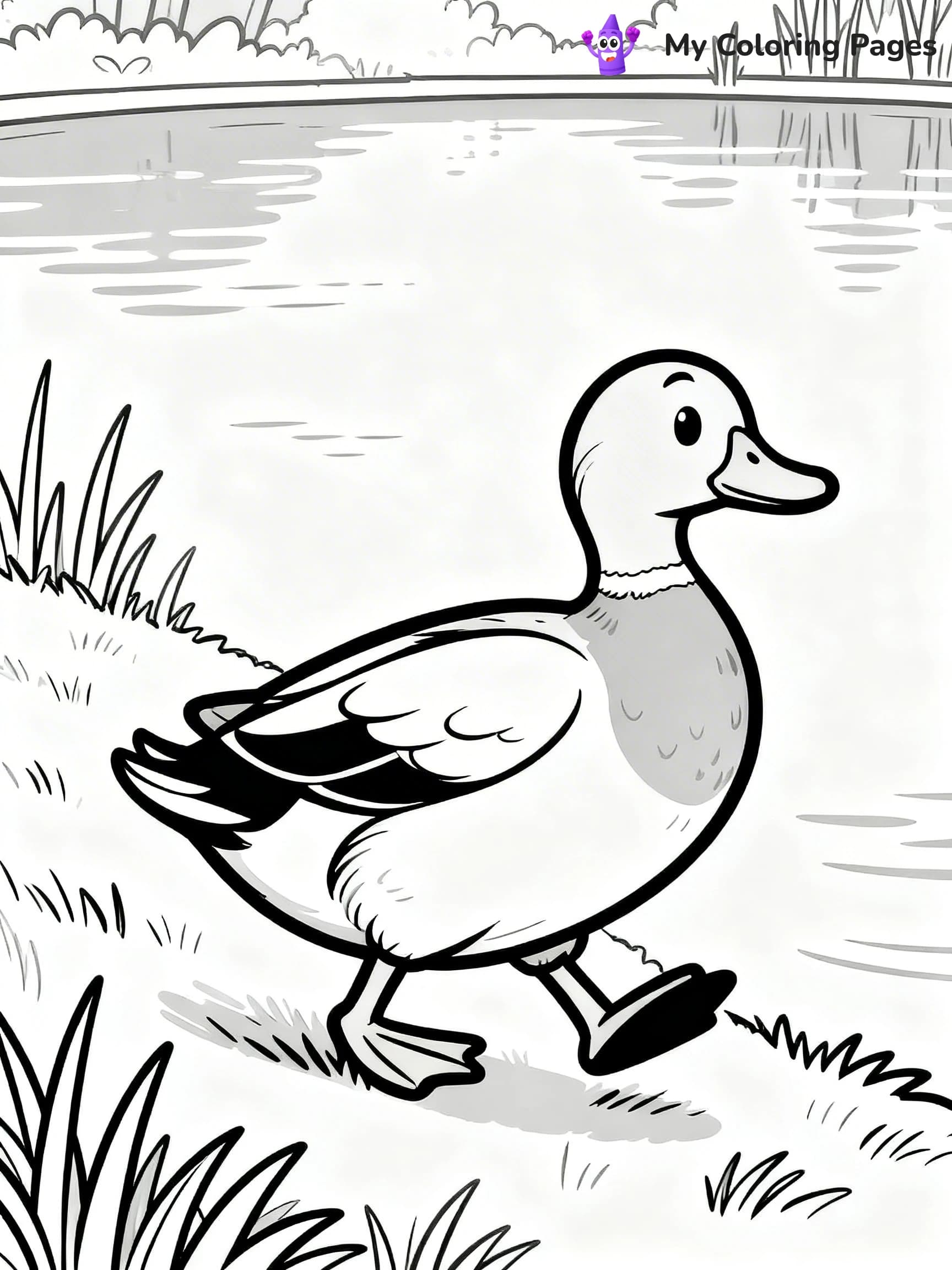Mallard Duck Coloring Pages - 21