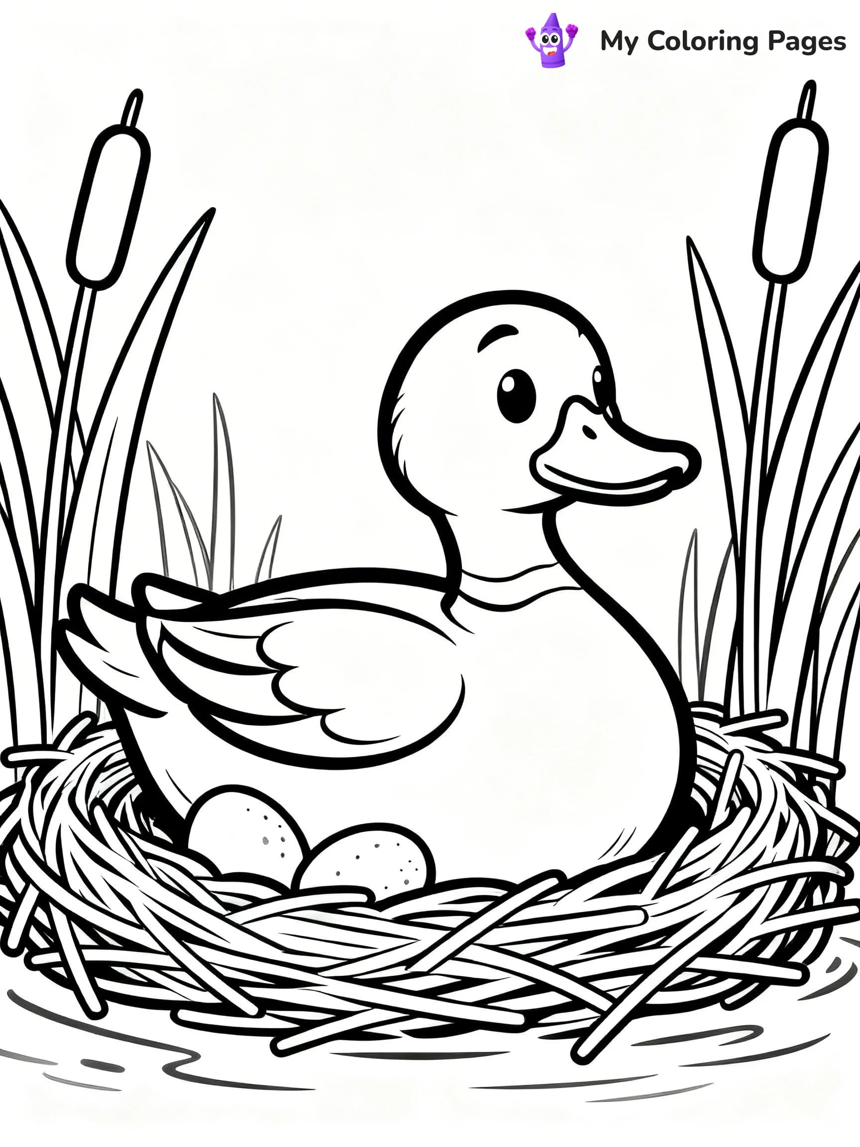 Mallard Duck Coloring Pages - 5
