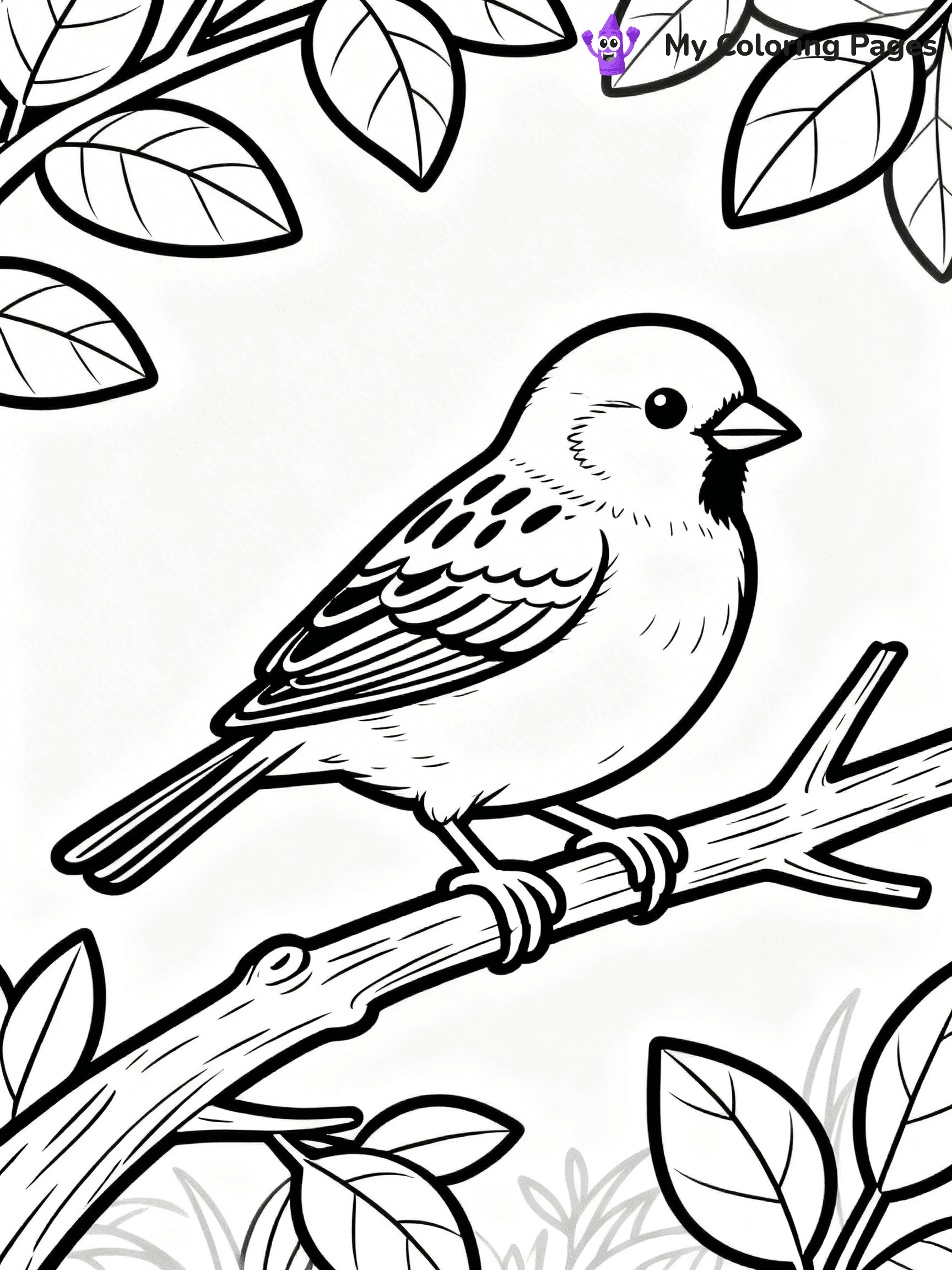 Easy Bird Coloring Pages - 350