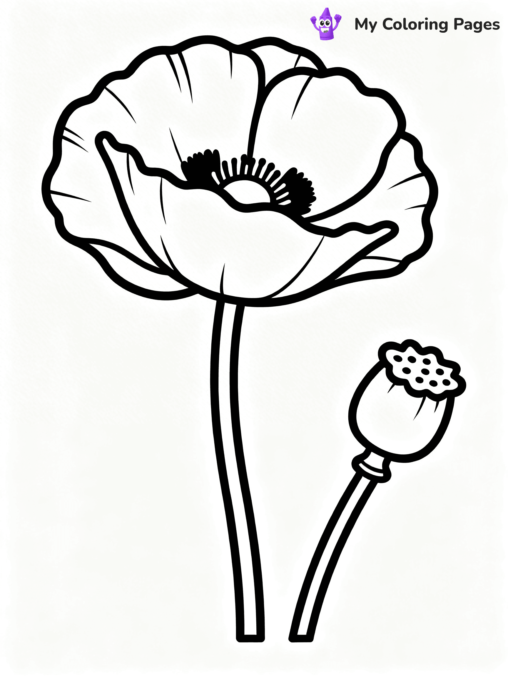 Detailed Flower Coloring Pages - 67