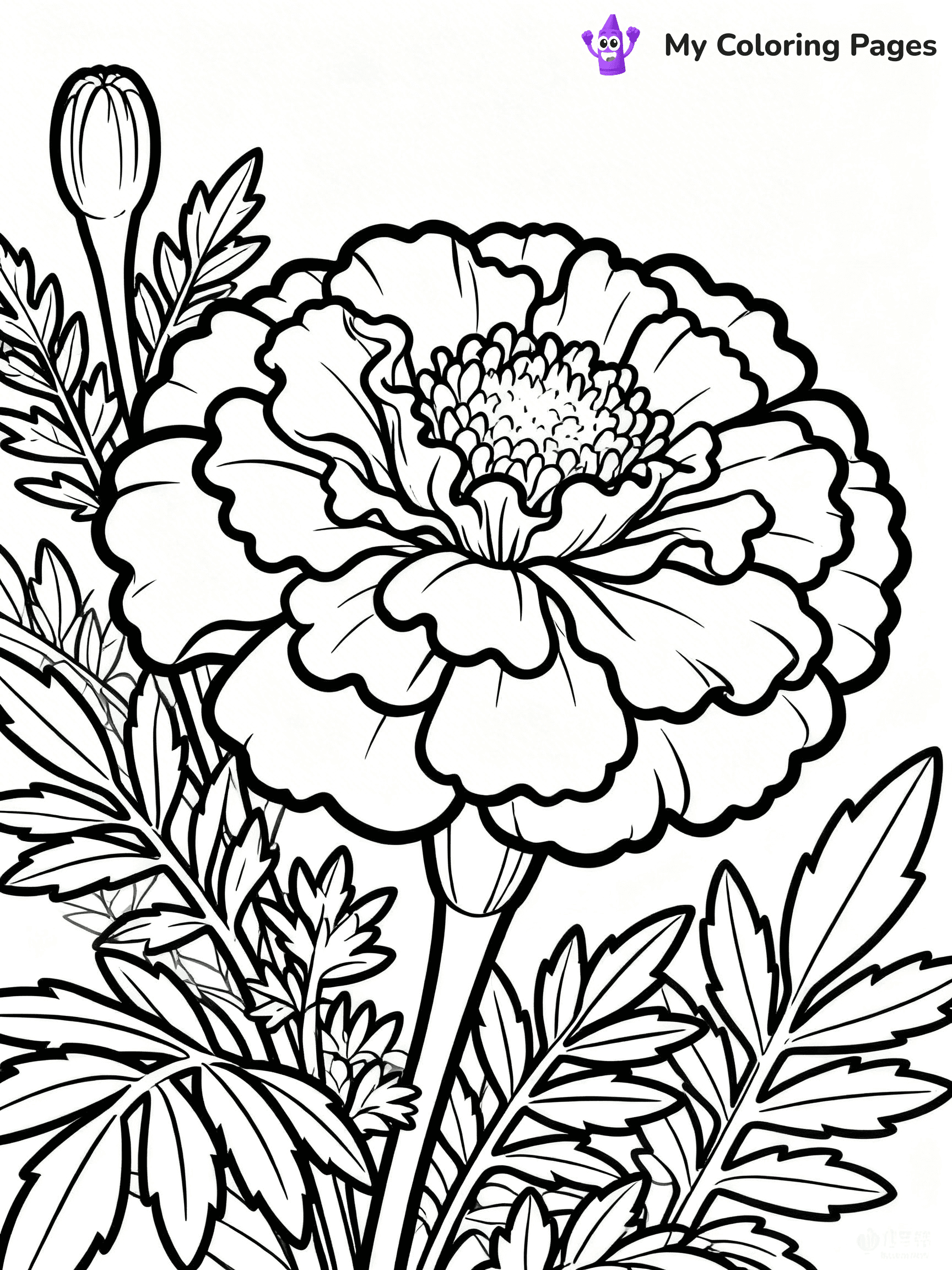 Detailed Flower Coloring Pages - 60