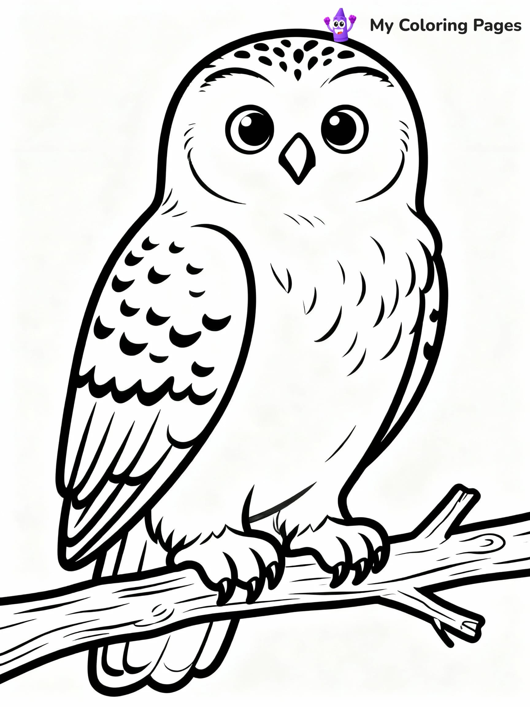 Arctic Animals Coloring Pages - 12