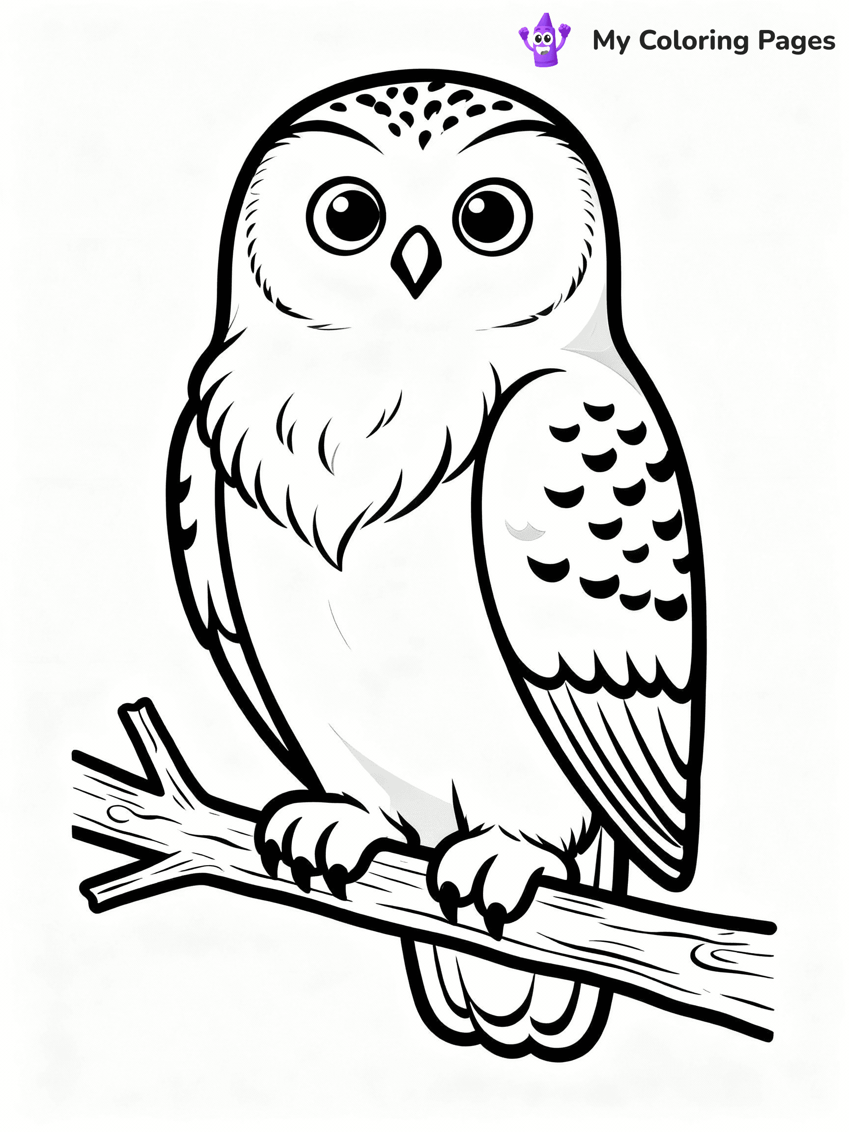 Arctic Animals Coloring Pages - 11