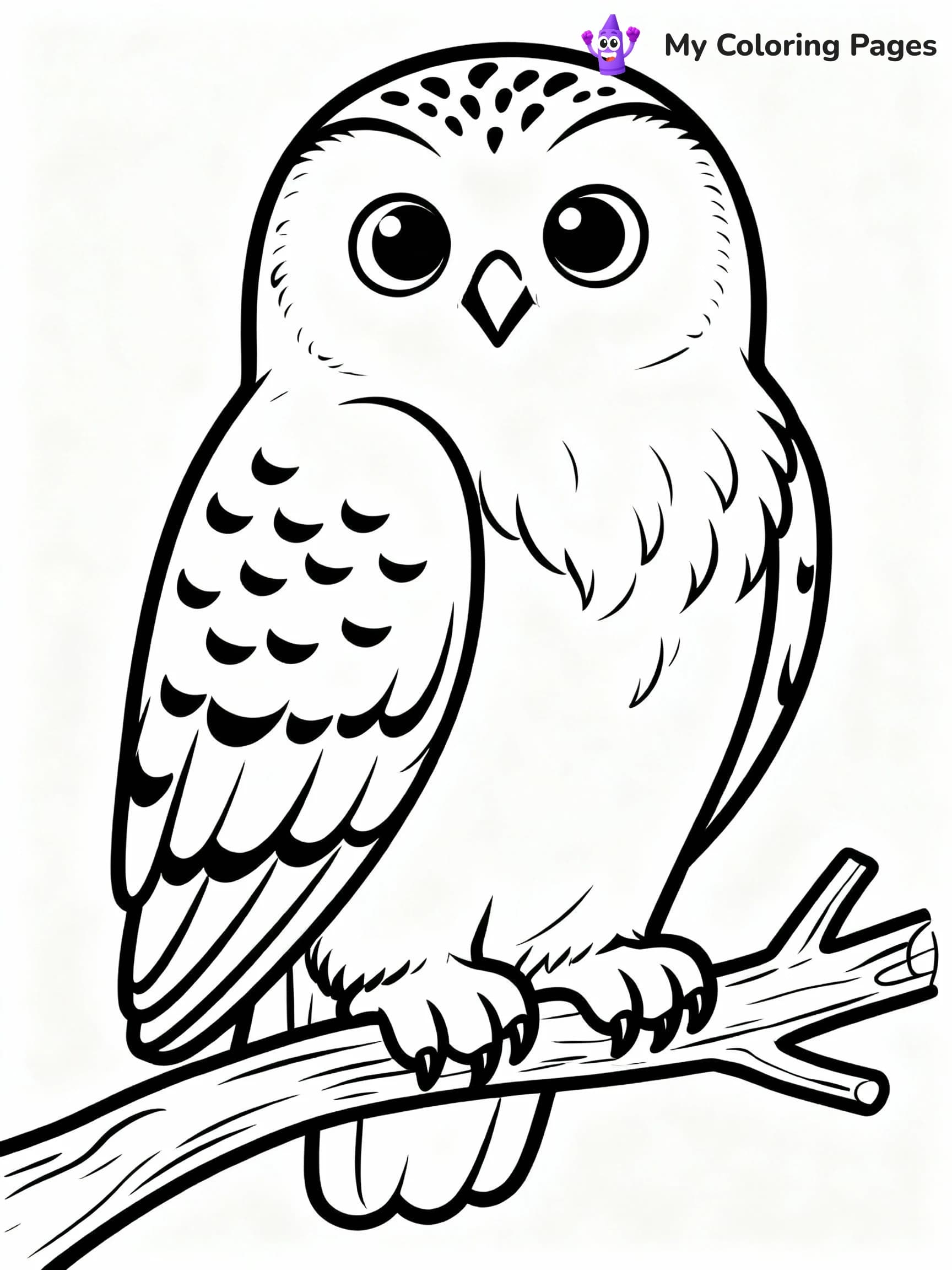 Arctic Animals Coloring Pages - 10
