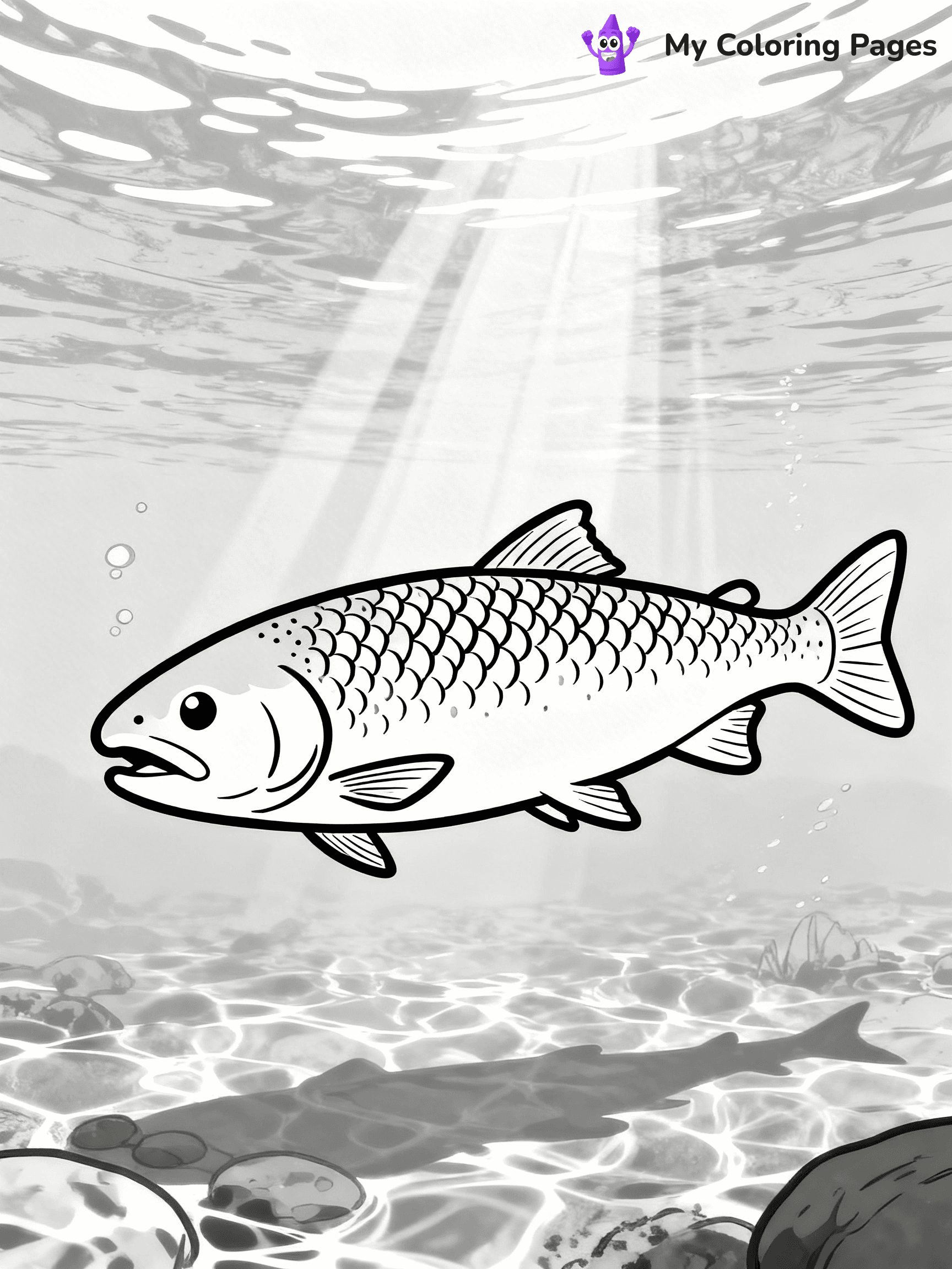 Salmon Coloring Pages - 1