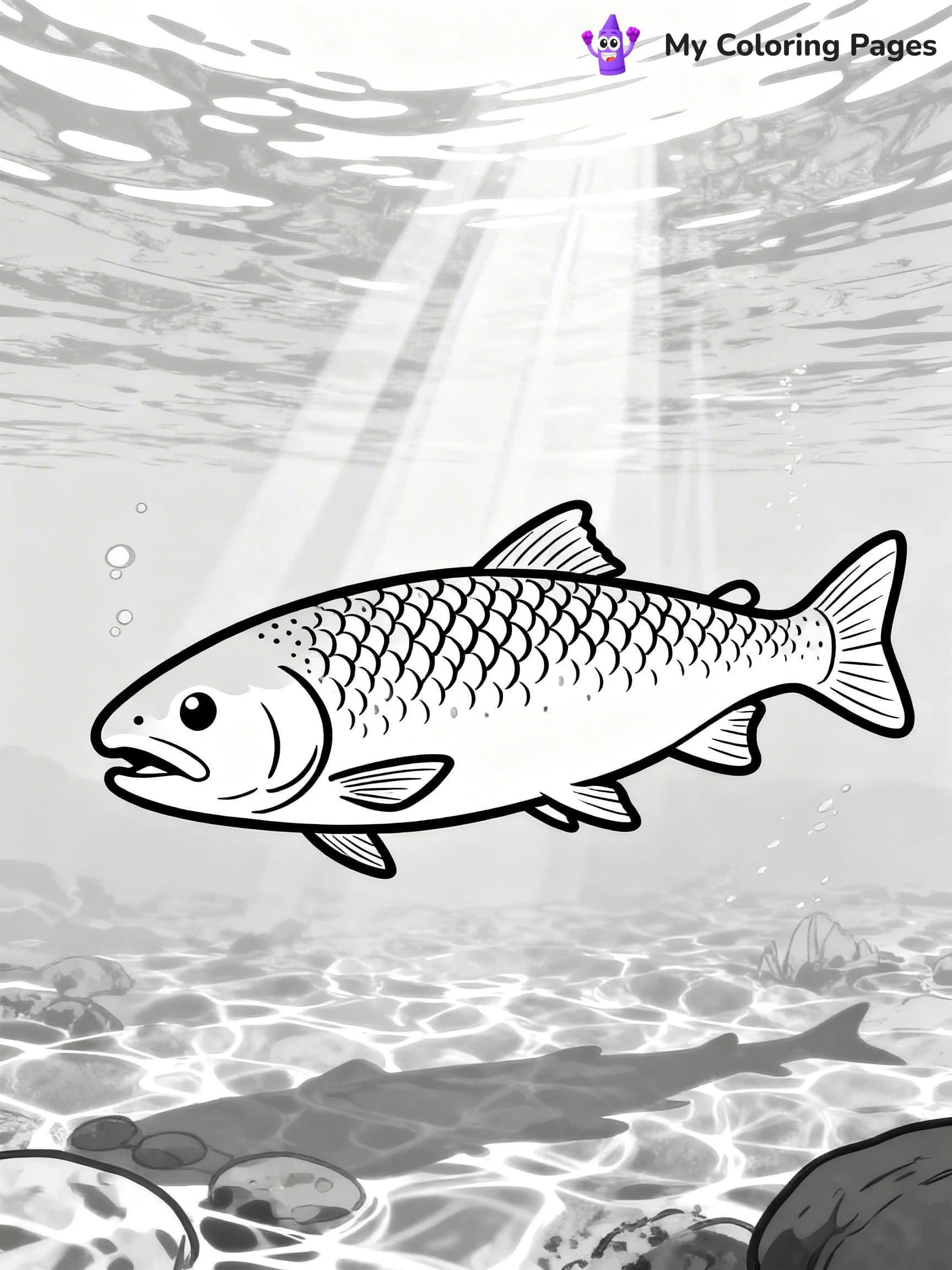 Salmon Coloring Pages - 1