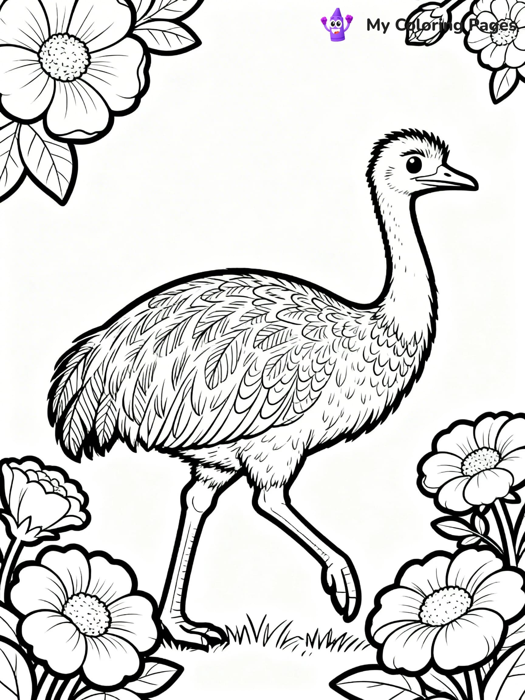 Emu Coloring Pages - 17
