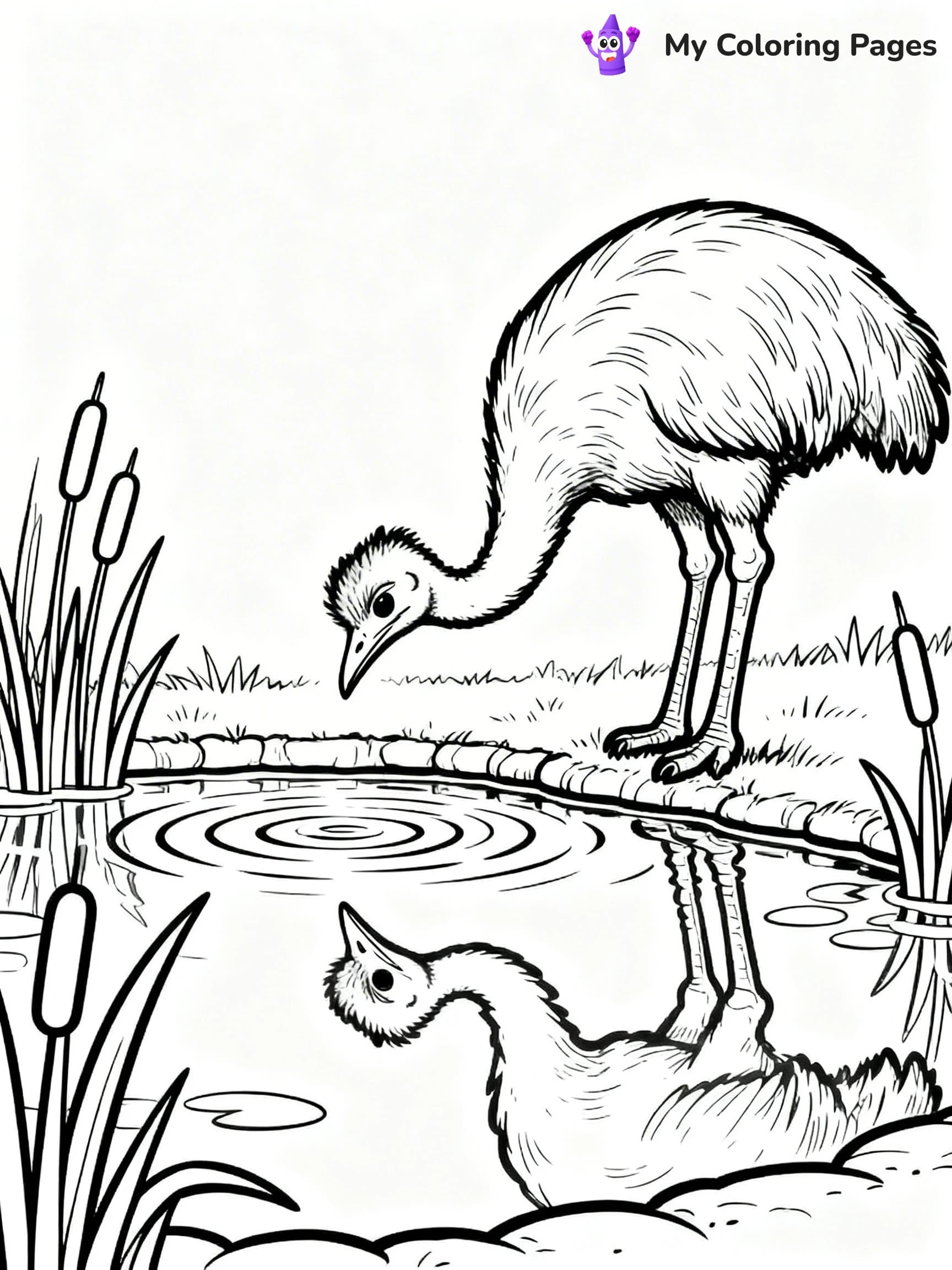 Emu Coloring Pages - 8