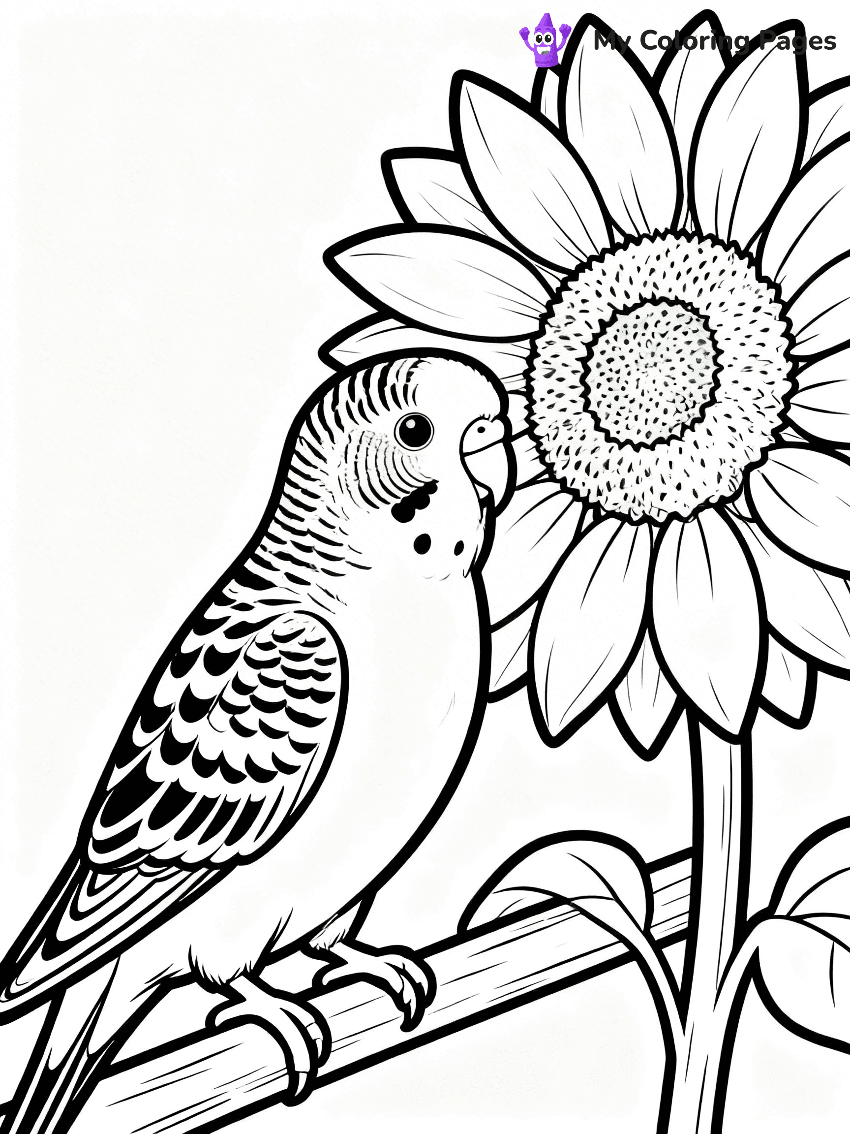 Budgie Coloring Pages - 15