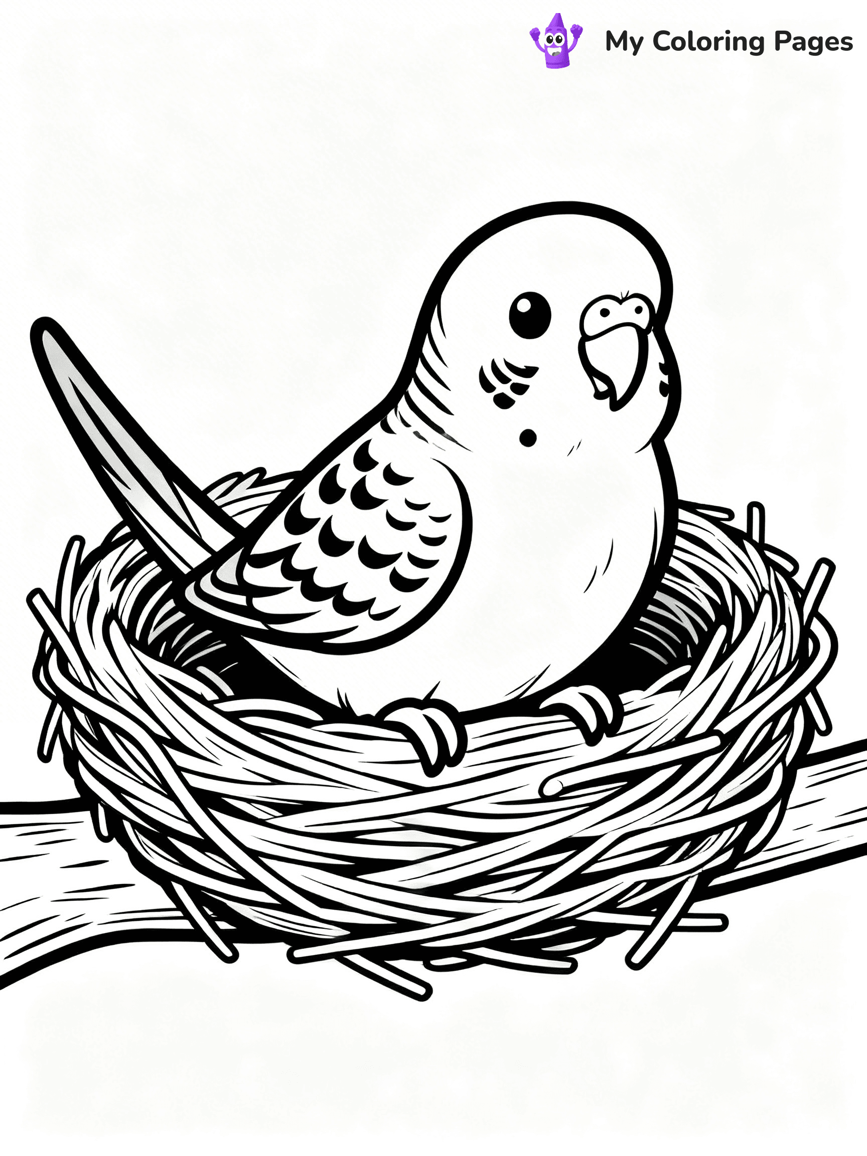 Budgie Coloring Pages - 13