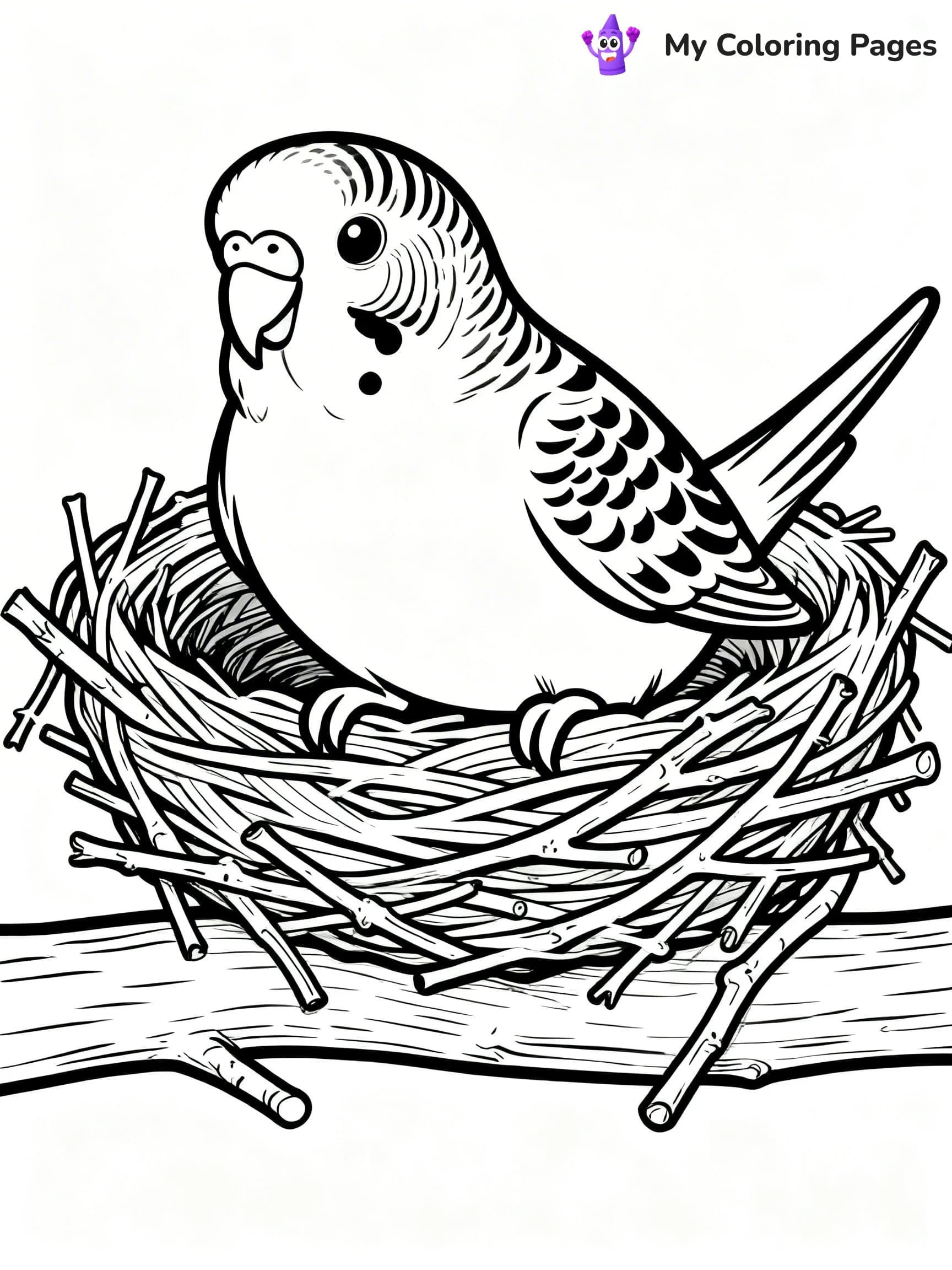 Budgie Coloring Pages - 8