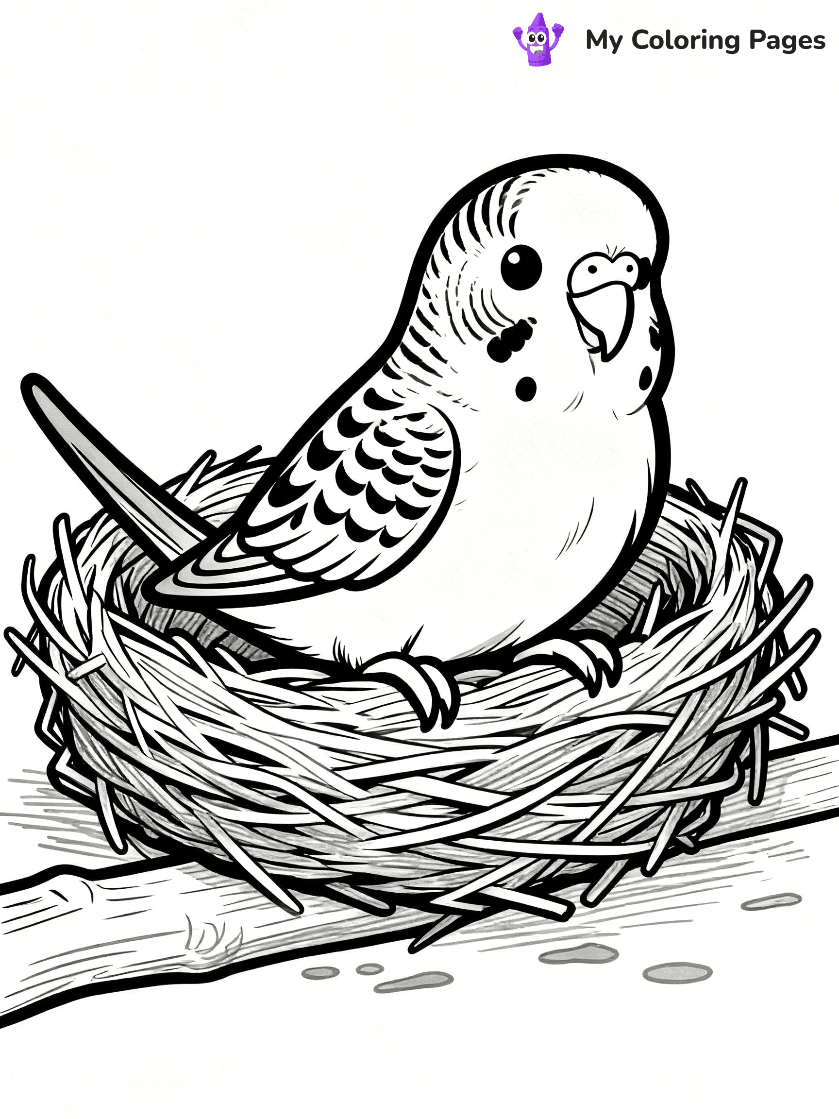 Budgie Coloring Pages - 7