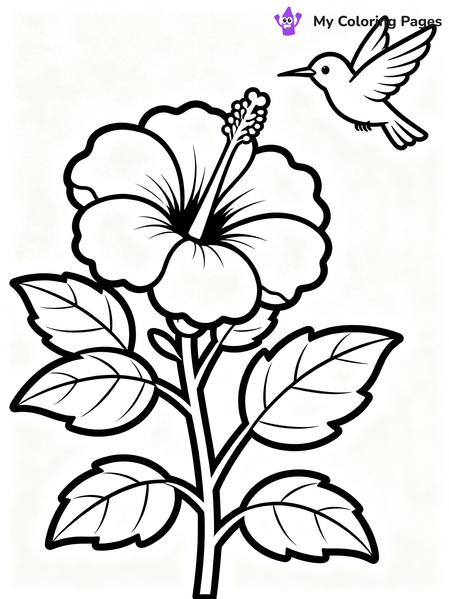 Hibiscus Coloring Pages - 21