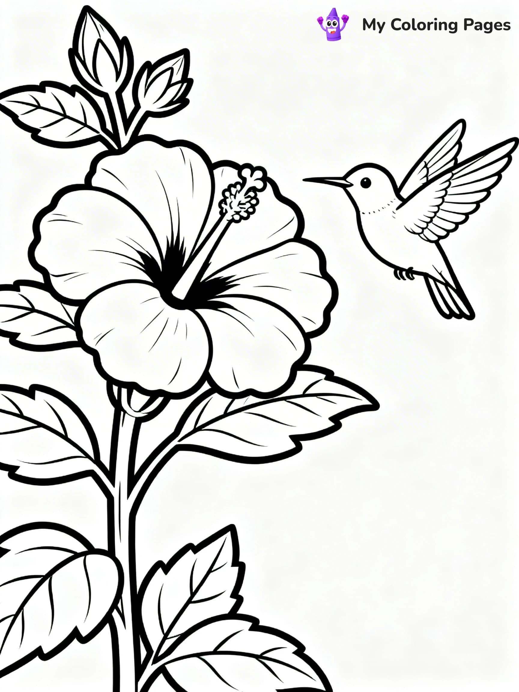 Hibiscus Coloring Pages - 20