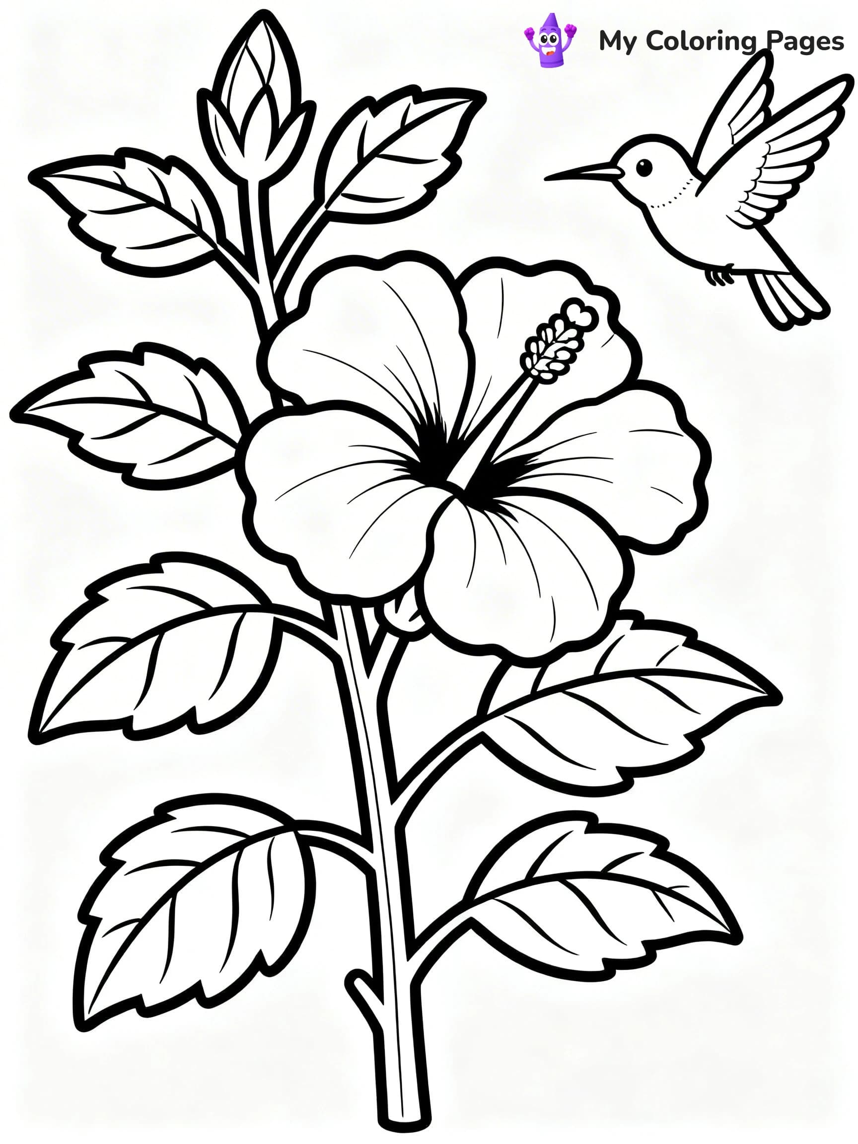 Hibiscus Coloring Pages - 16
