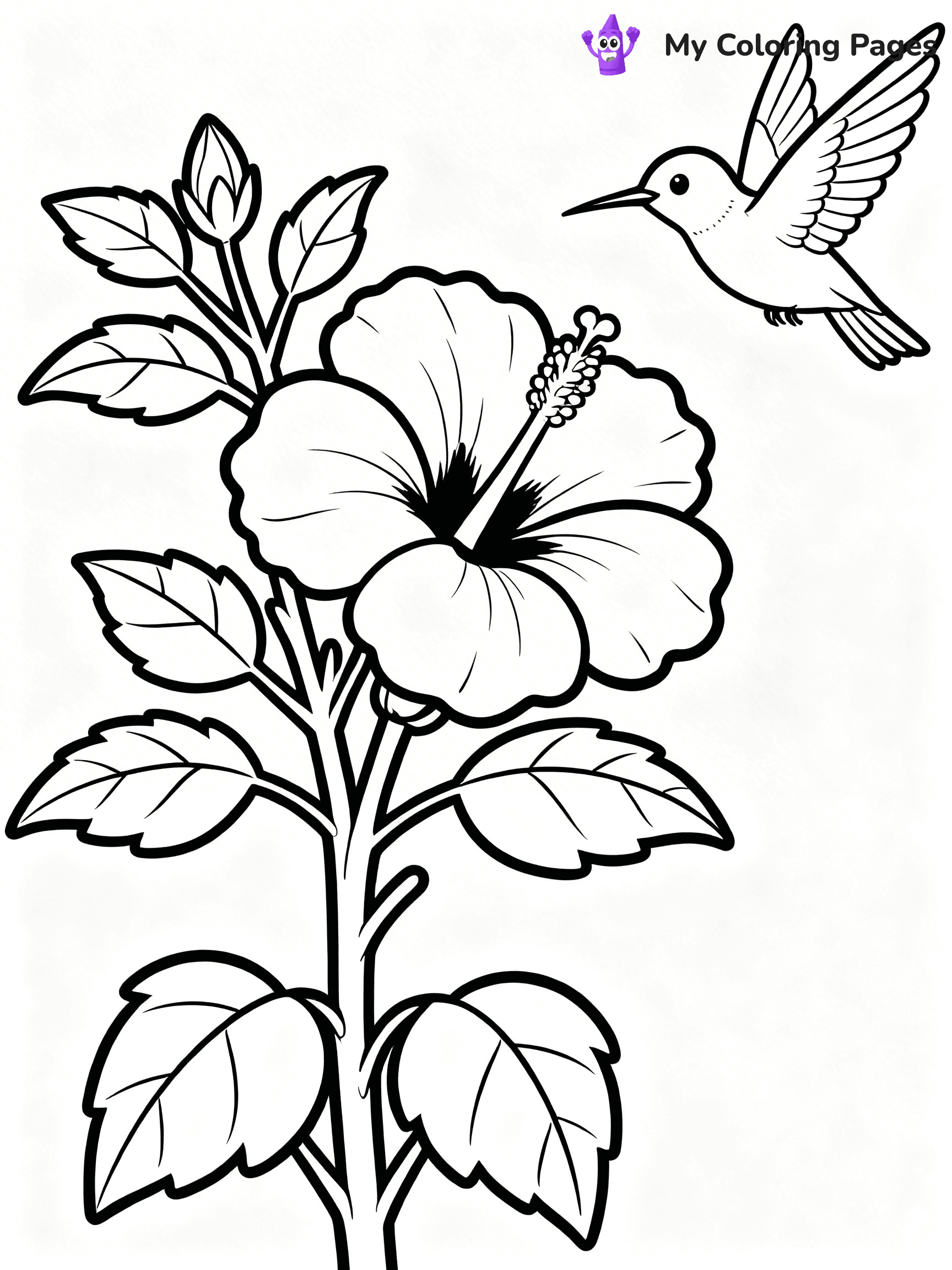 Hibiscus Coloring Pages - 15