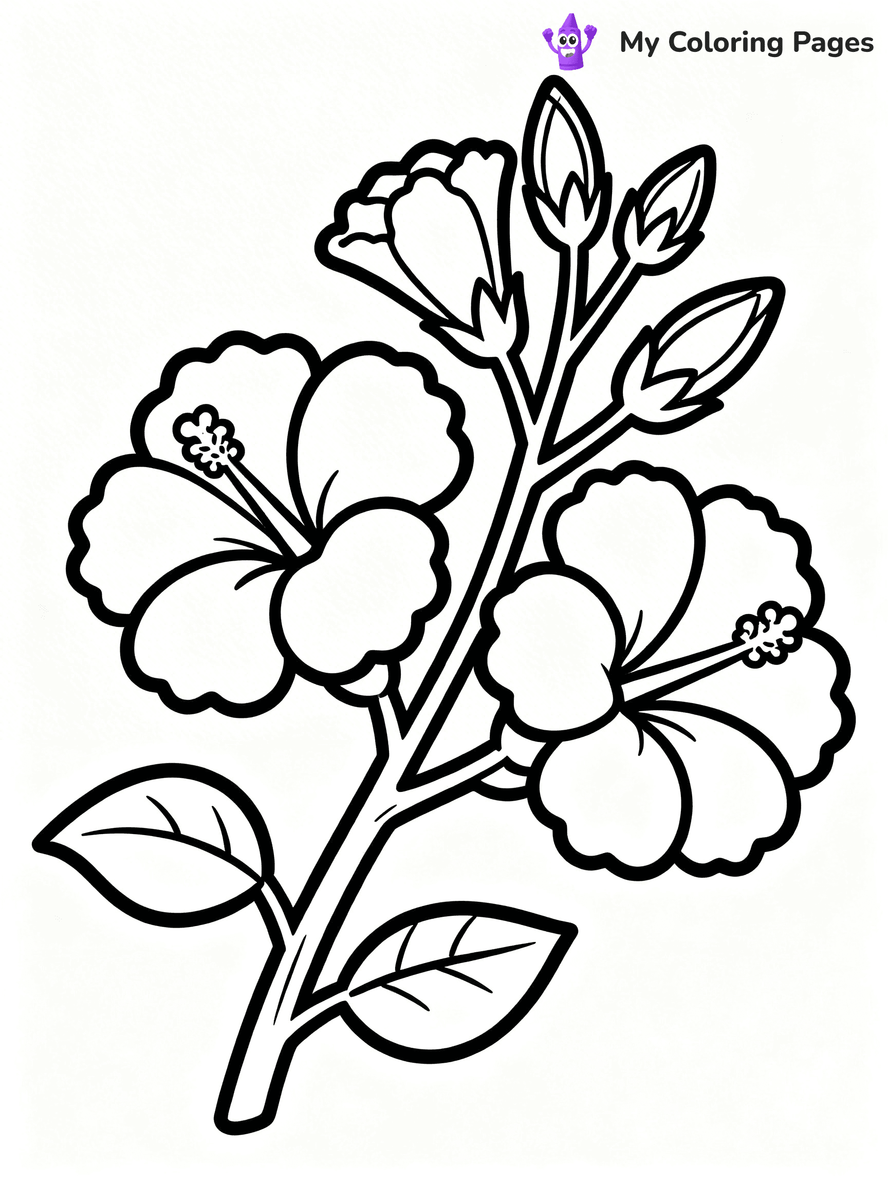 Hibiscus Coloring Pages - 5
