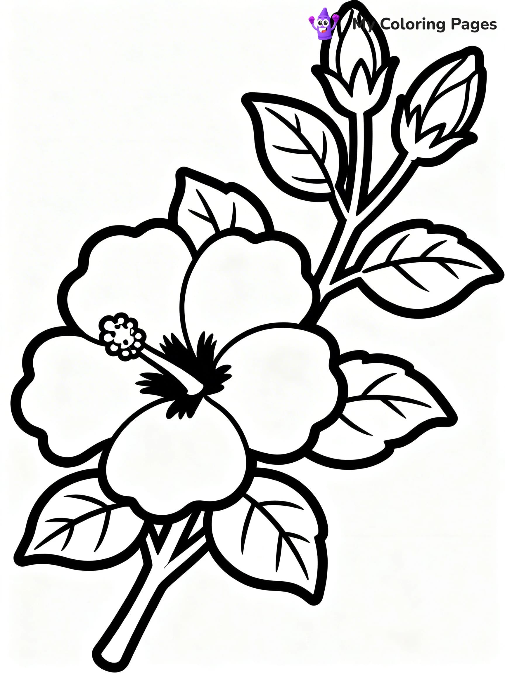 Hibiscus Coloring Pages - 4