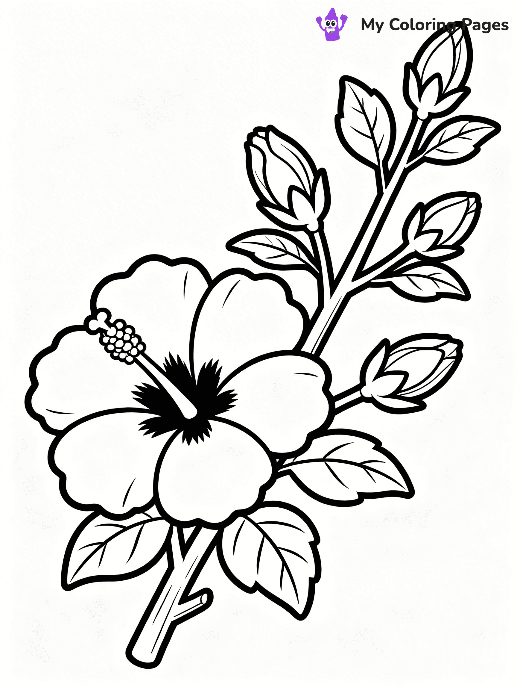 Hibiscus Coloring Pages - 3