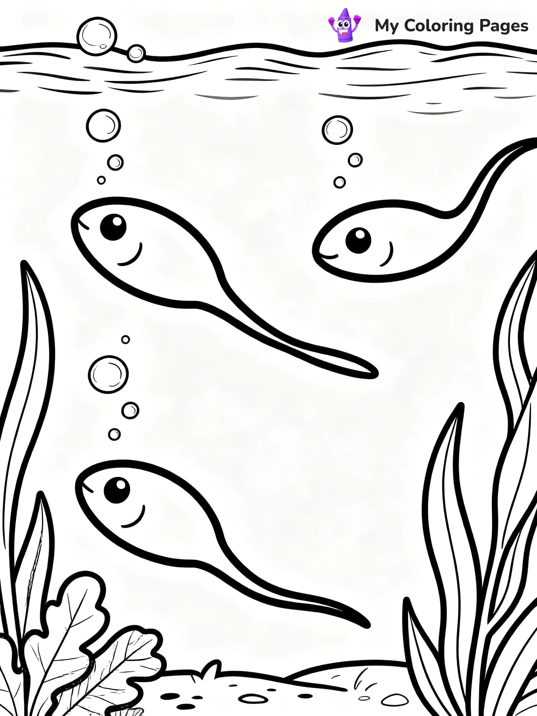 Tree Frog Coloring Pages - 20