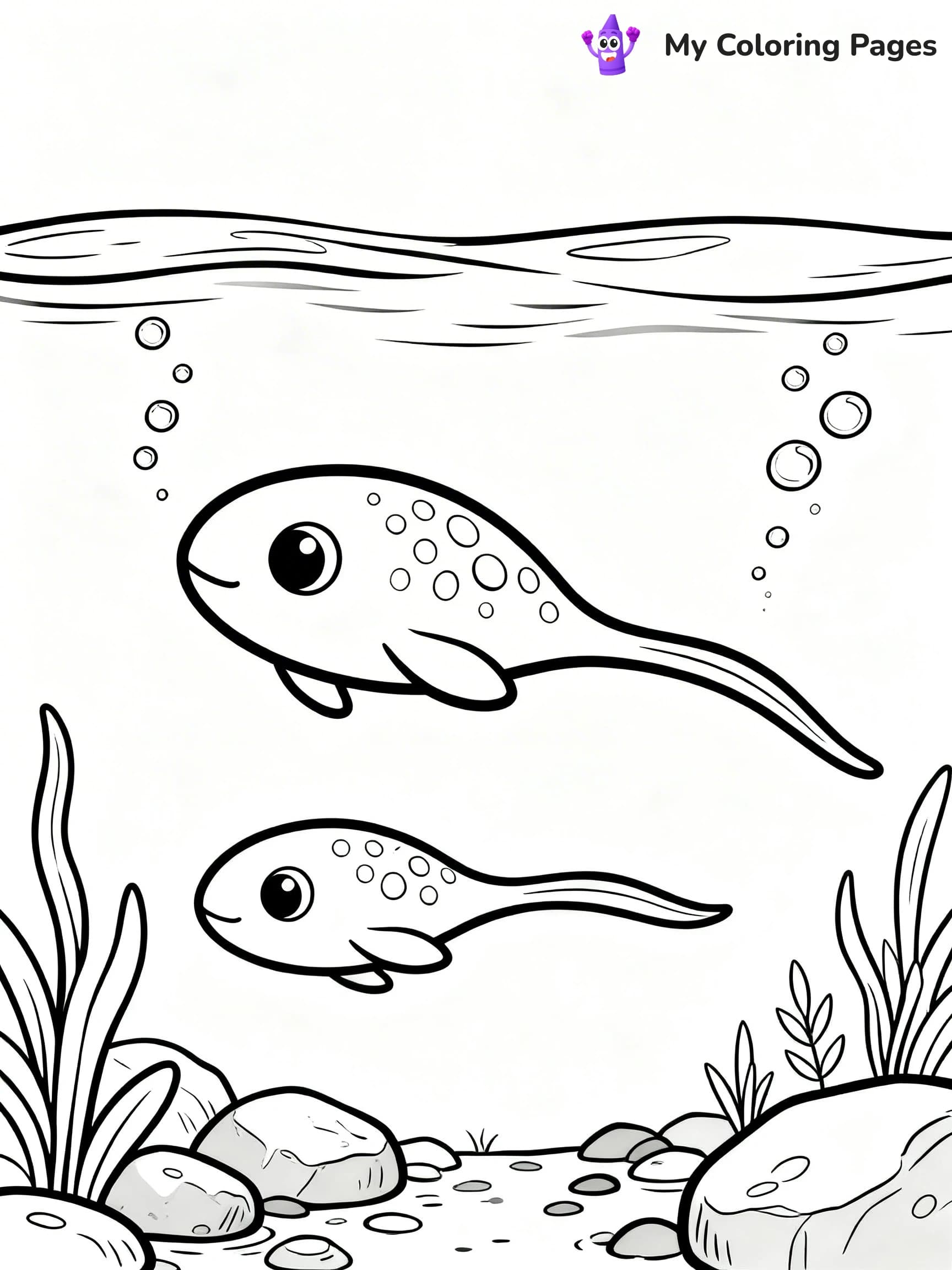 Tree Frog Coloring Pages - 19
