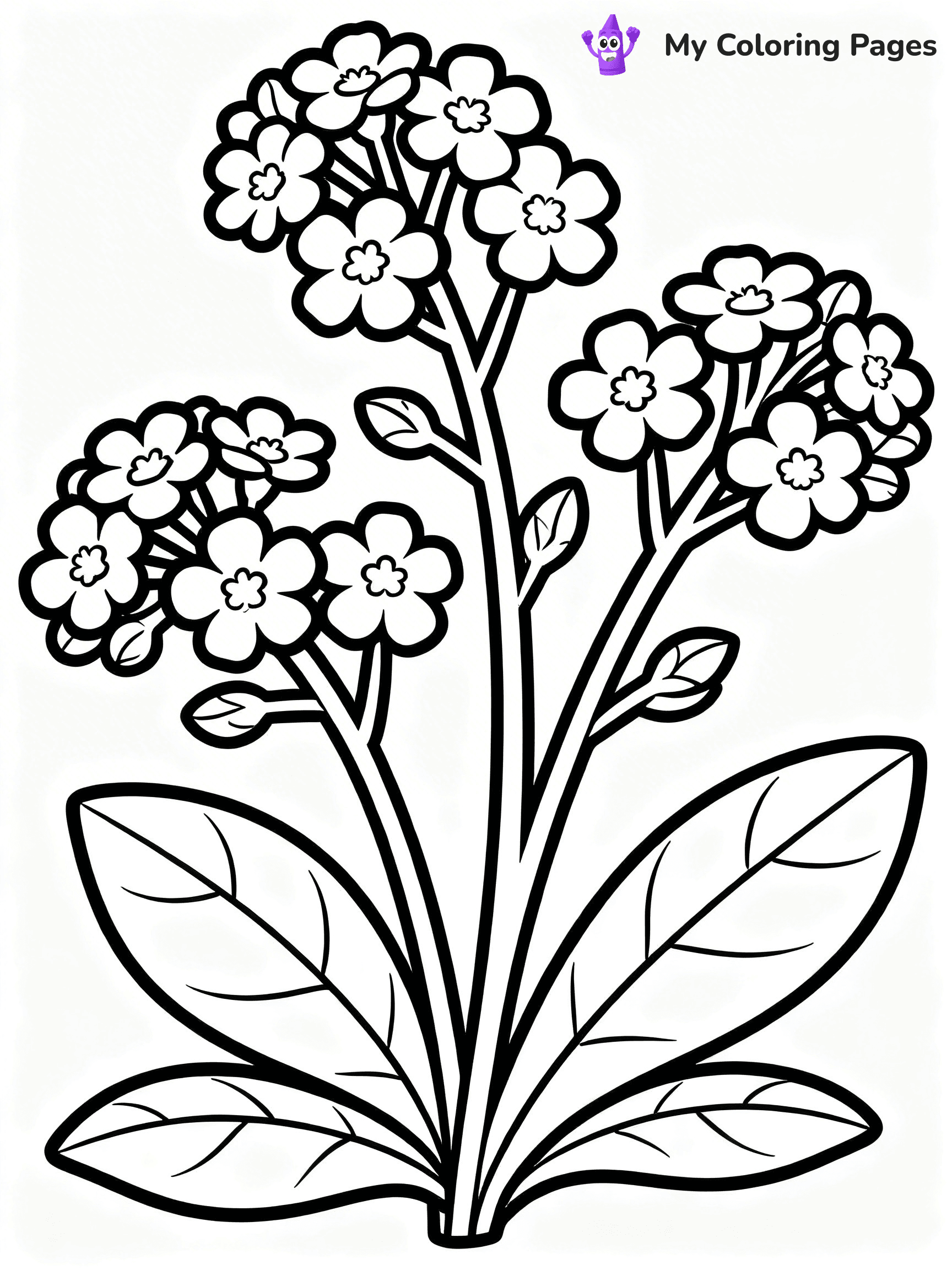 Coloring Pages Flowers and Butterflies - 21
