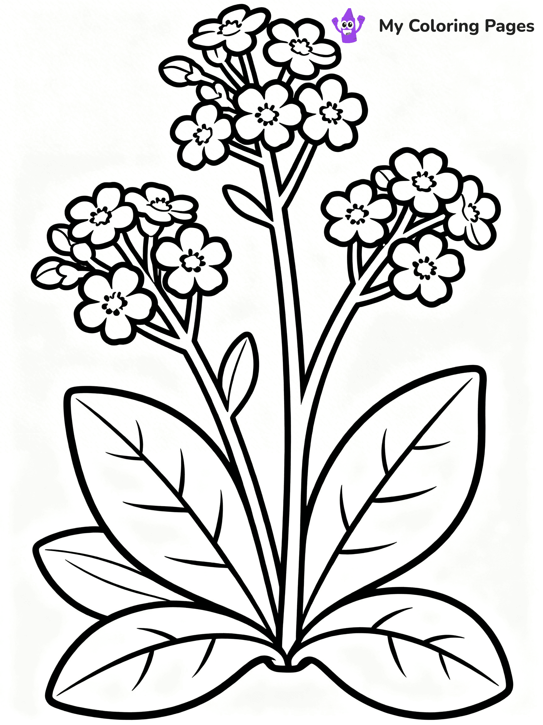 Coloring Pages Flowers and Butterflies - 20