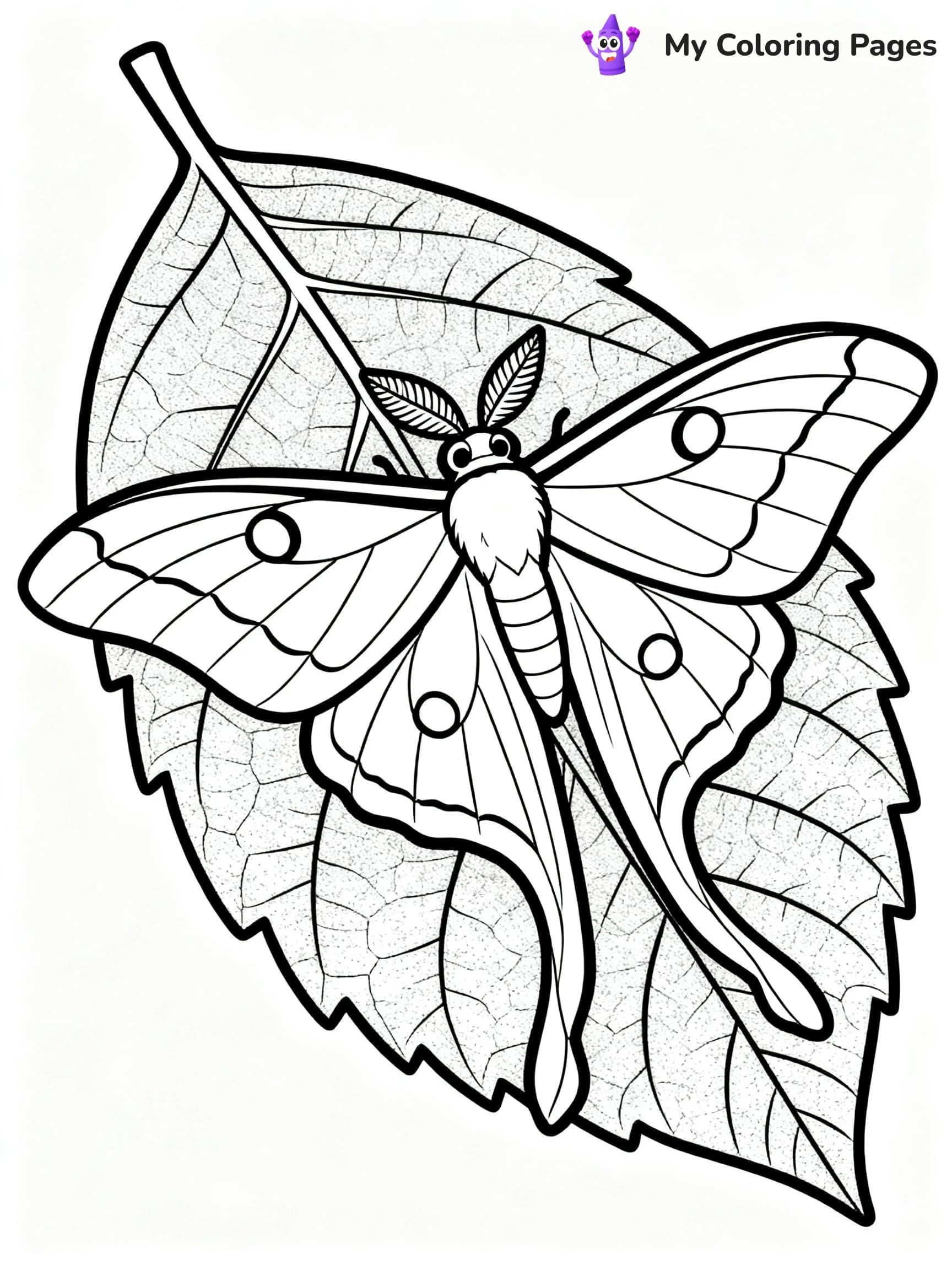 Luna Moth Coloring Pages - 23