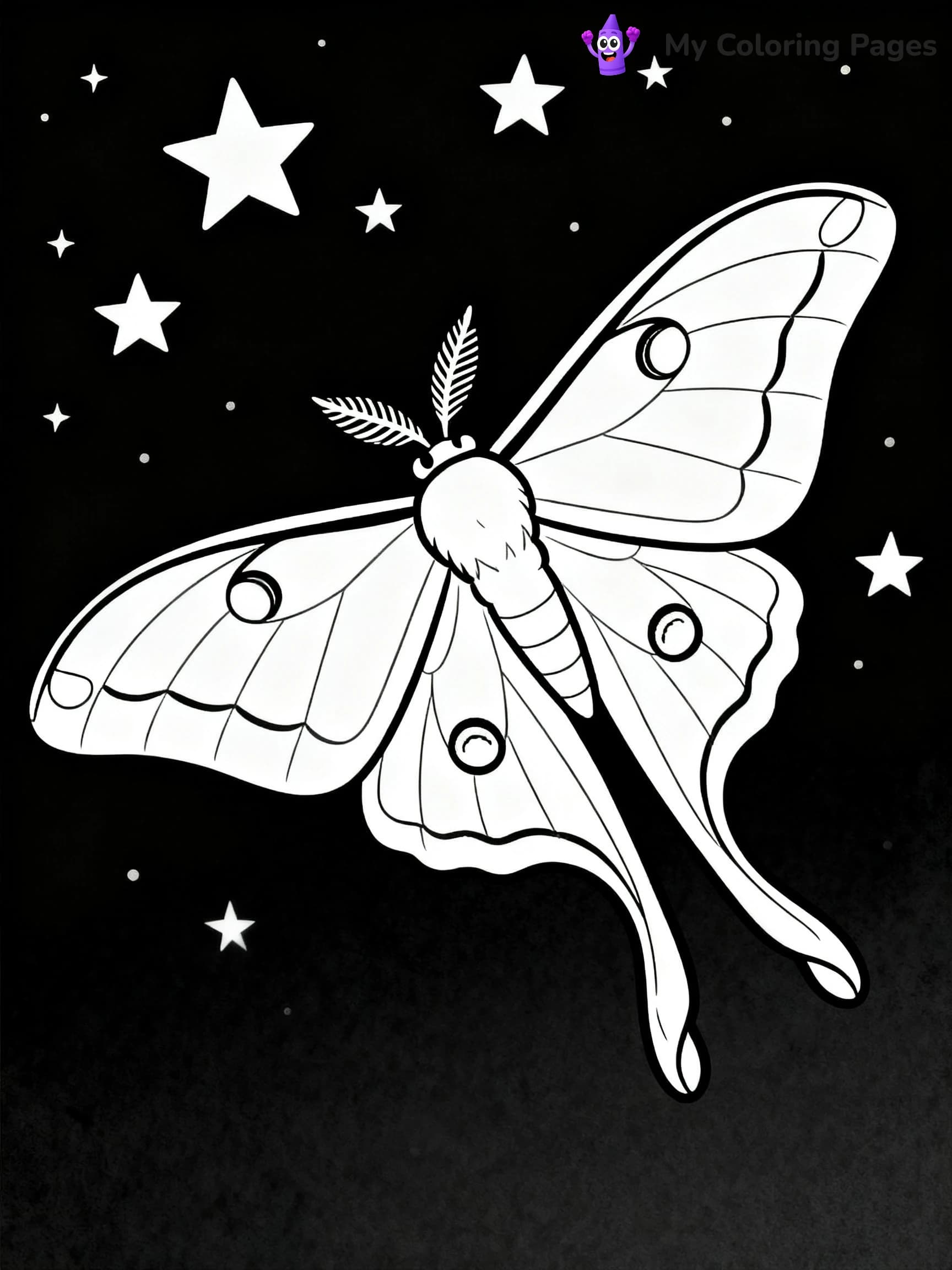 Luna Moth Coloring Pages - 14