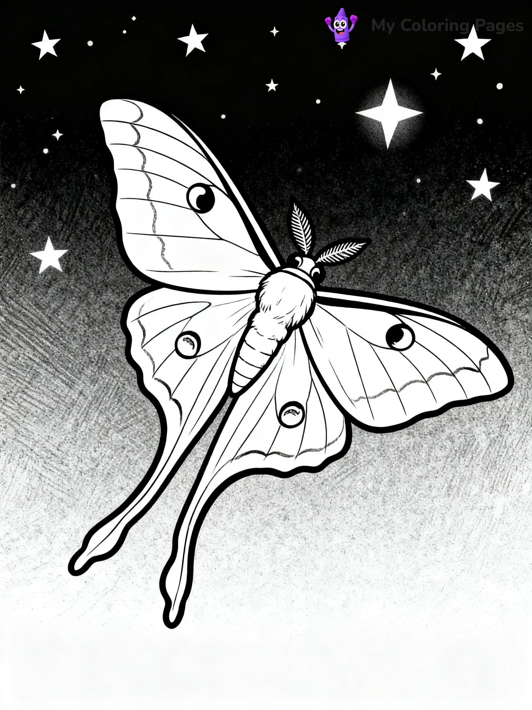 Luna Moth Coloring Pages - 11