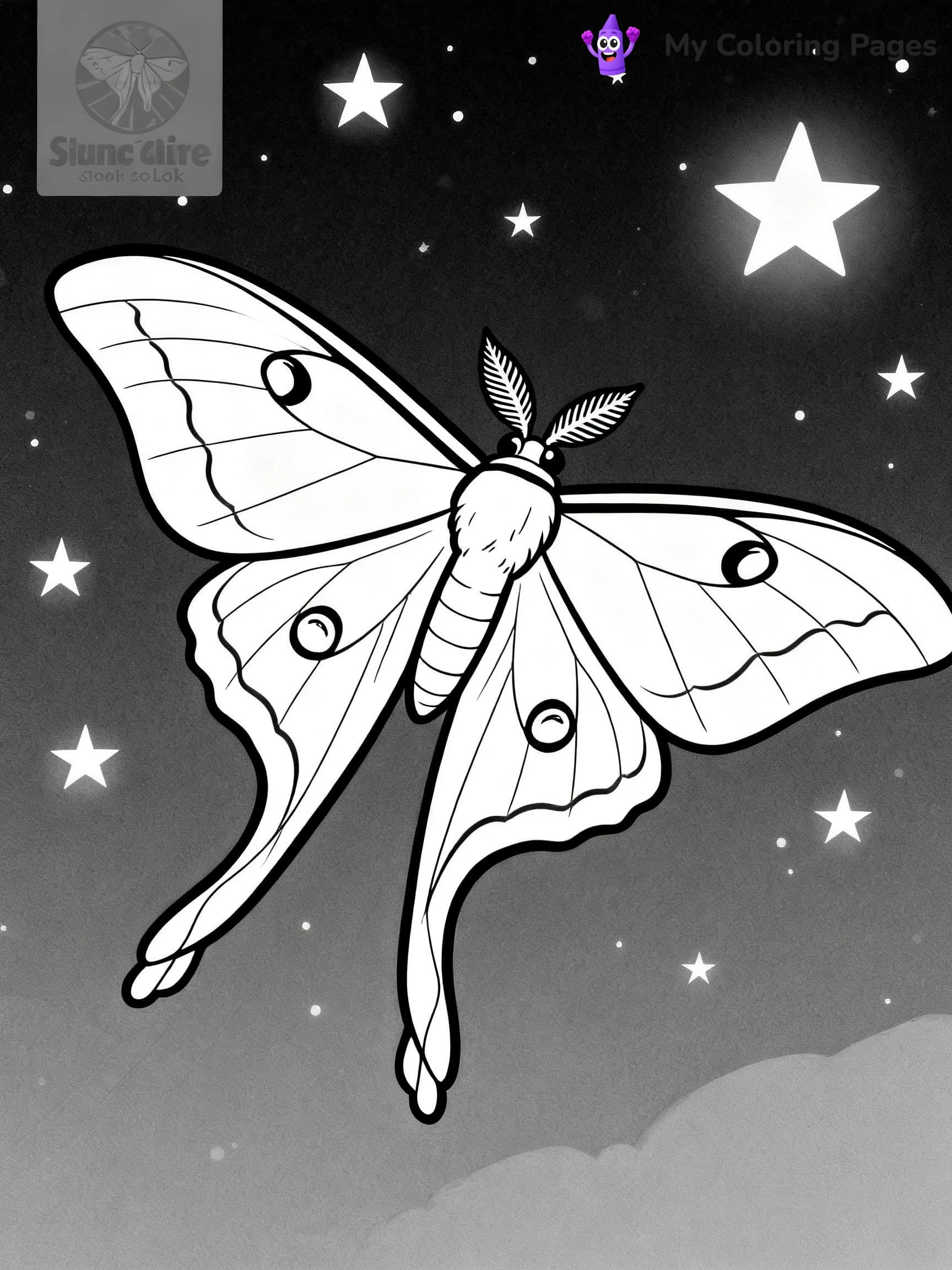 Luna Moth Coloring Pages - 9