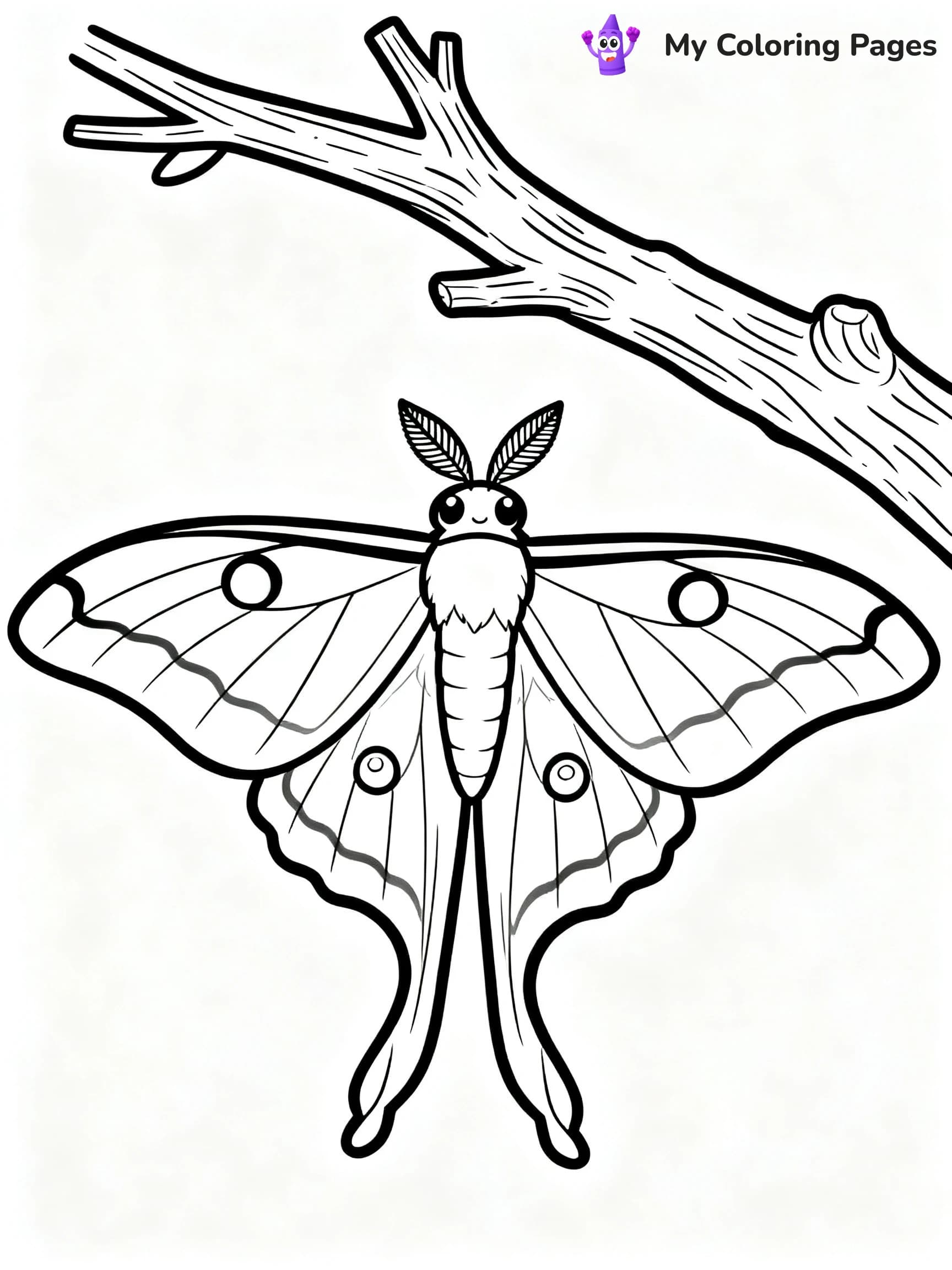 Luna Moth Coloring Pages - 5
