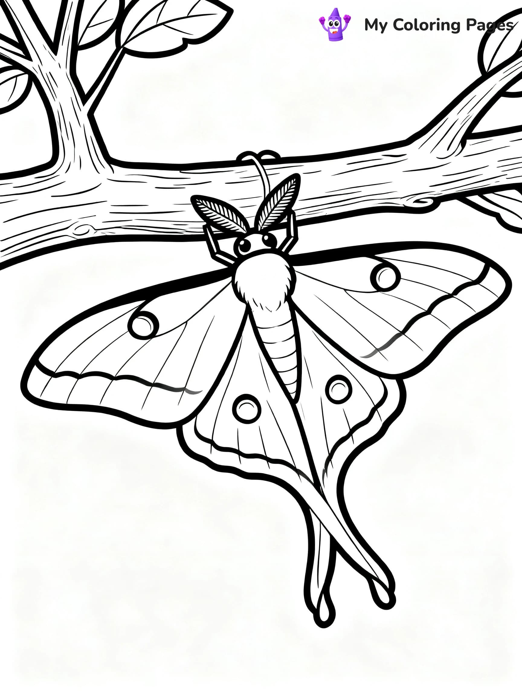 Luna Moth Coloring Pages - 2