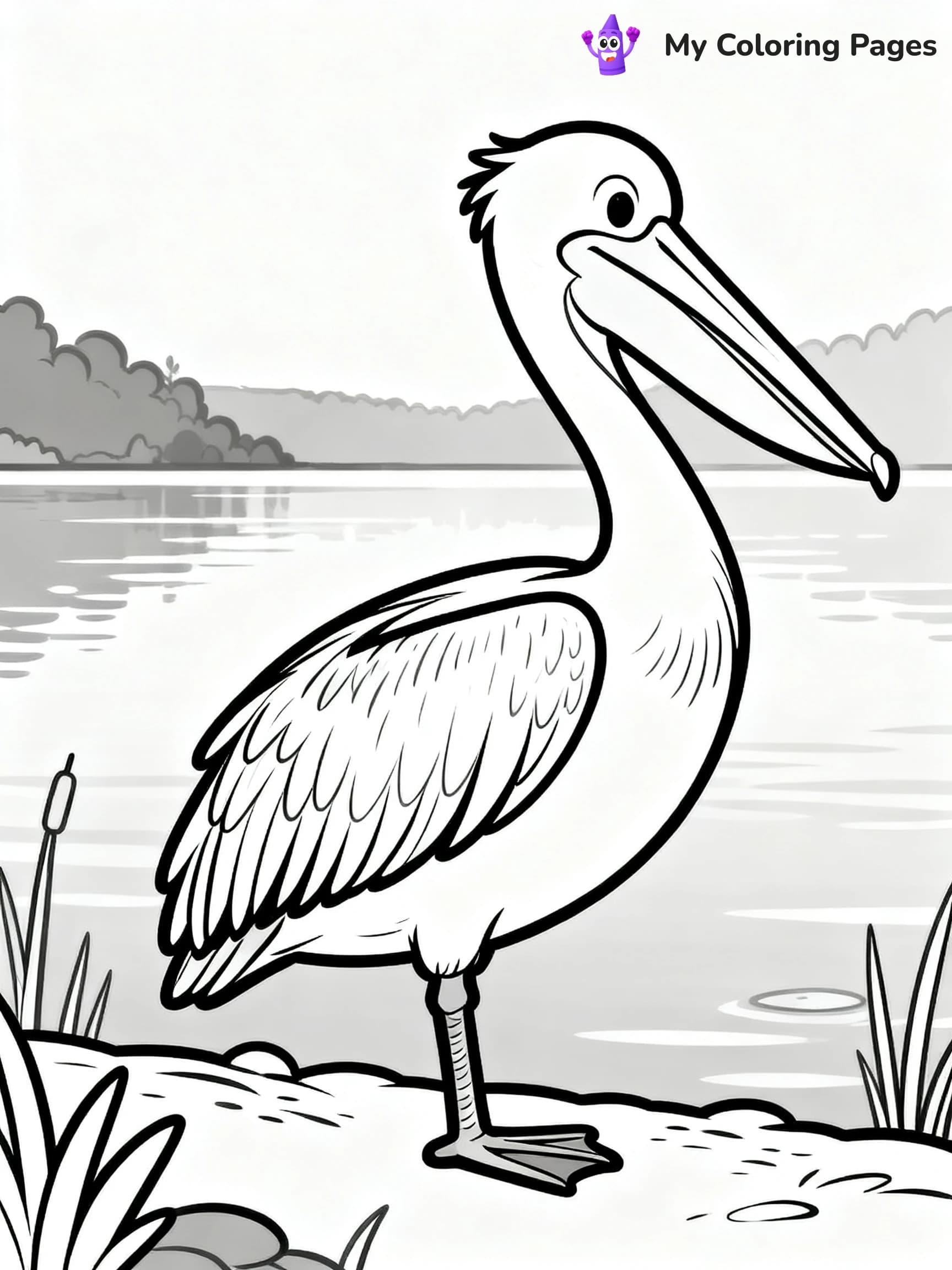 Pelican Coloring Pages - 14