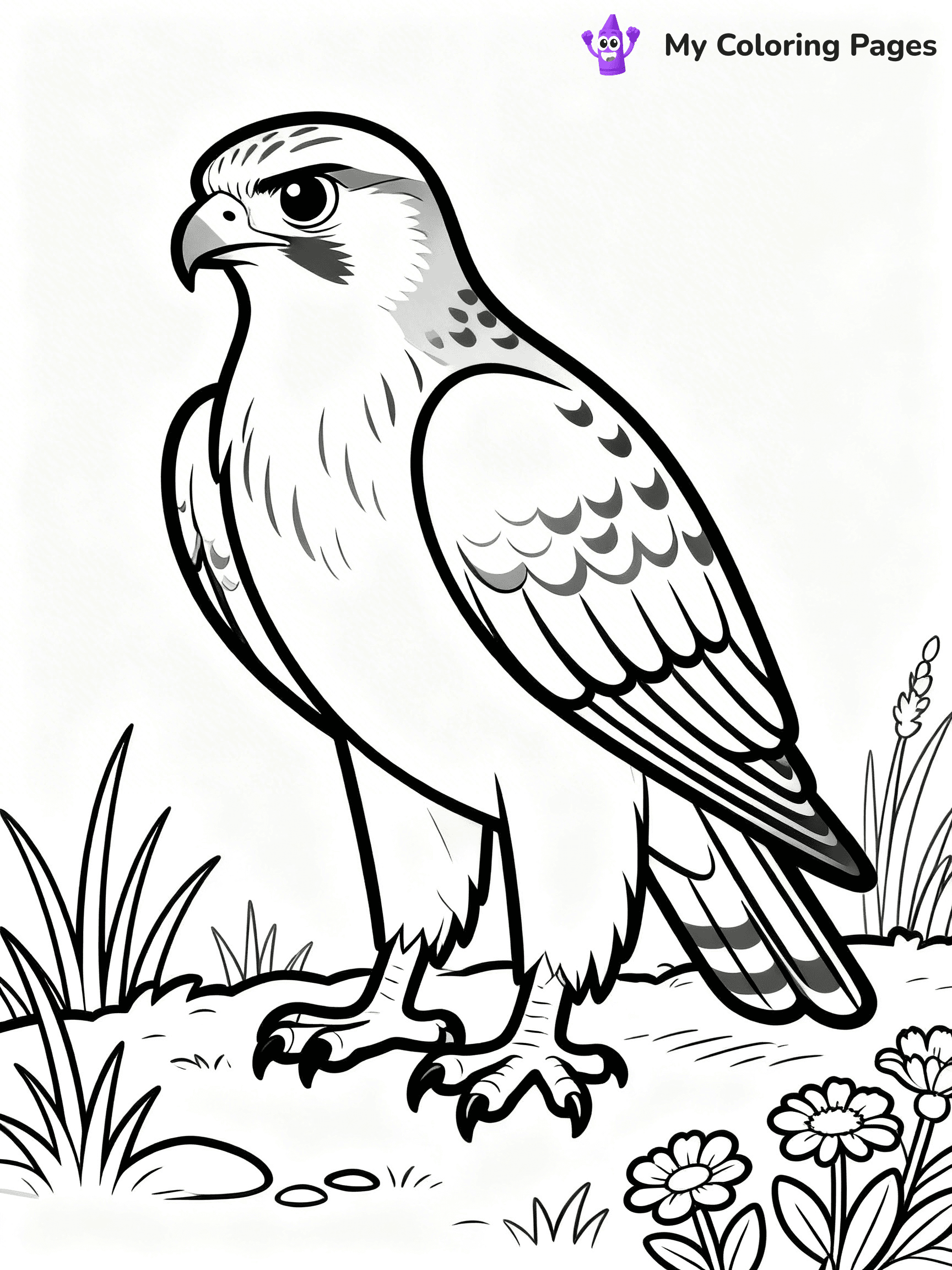 Hawk Coloring Pages - 7