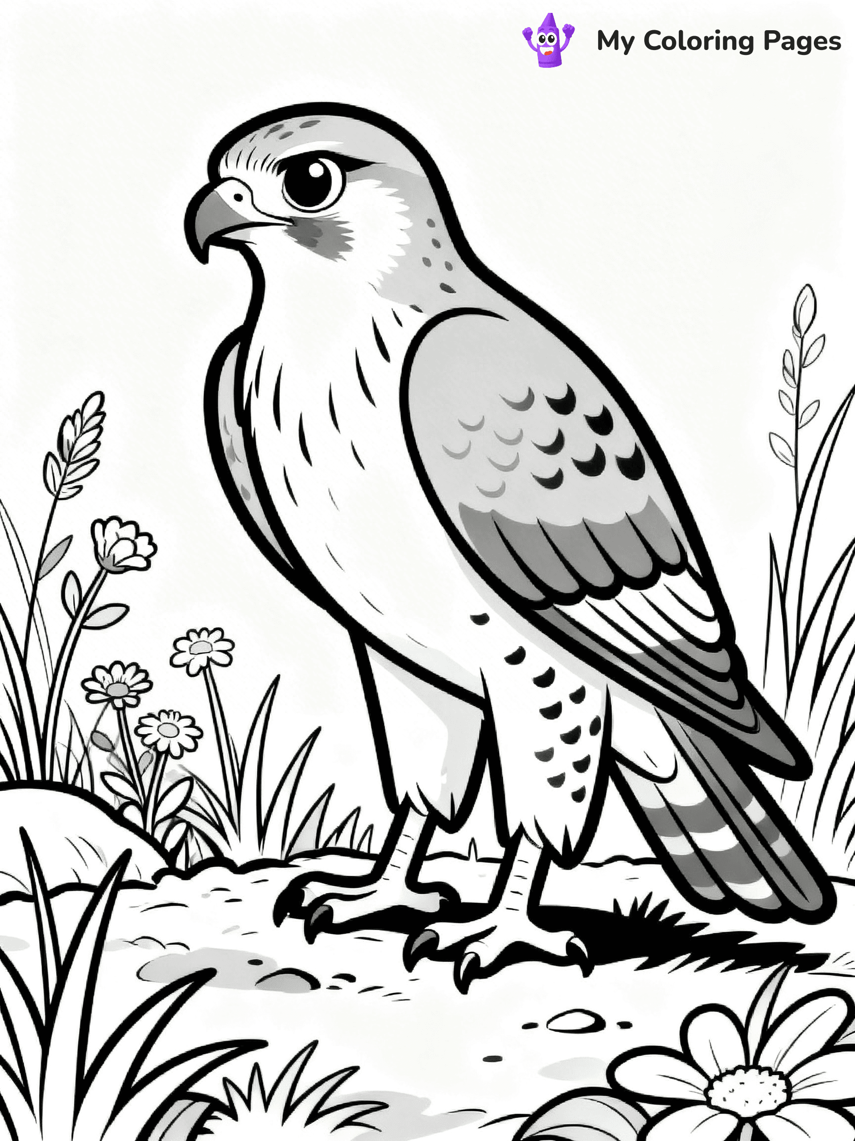 Hawk Coloring Pages - 6
